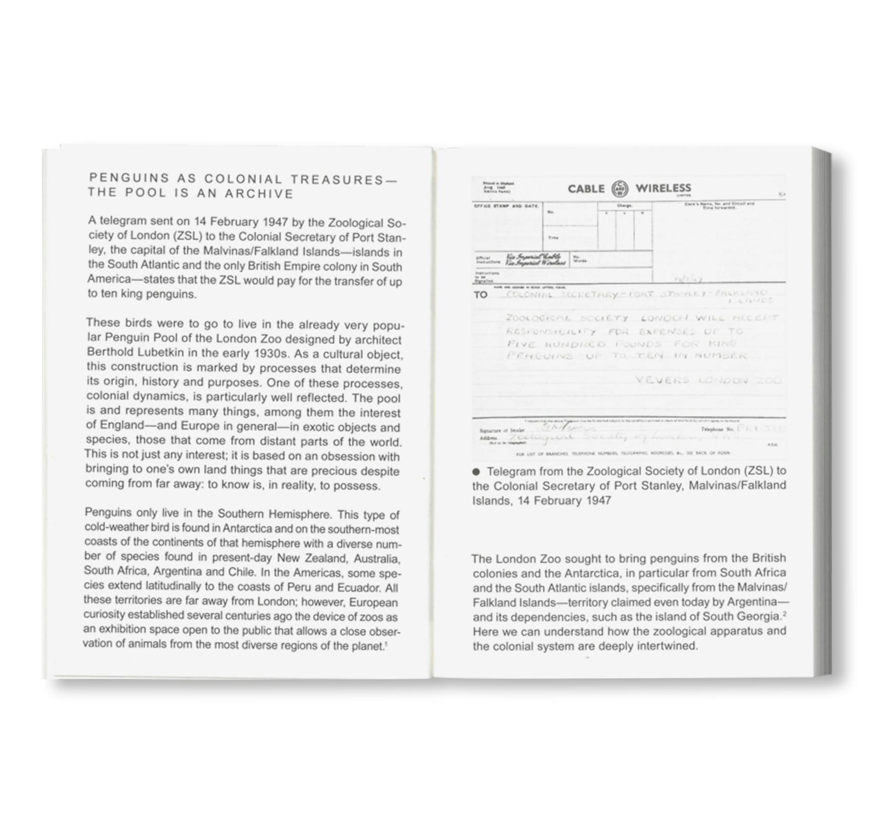 NOT A PENGUIN POOL: ECHOES OF MORE-THAN-HUMAN ENTANGLEMENTS / Bauhaus Paperback 28