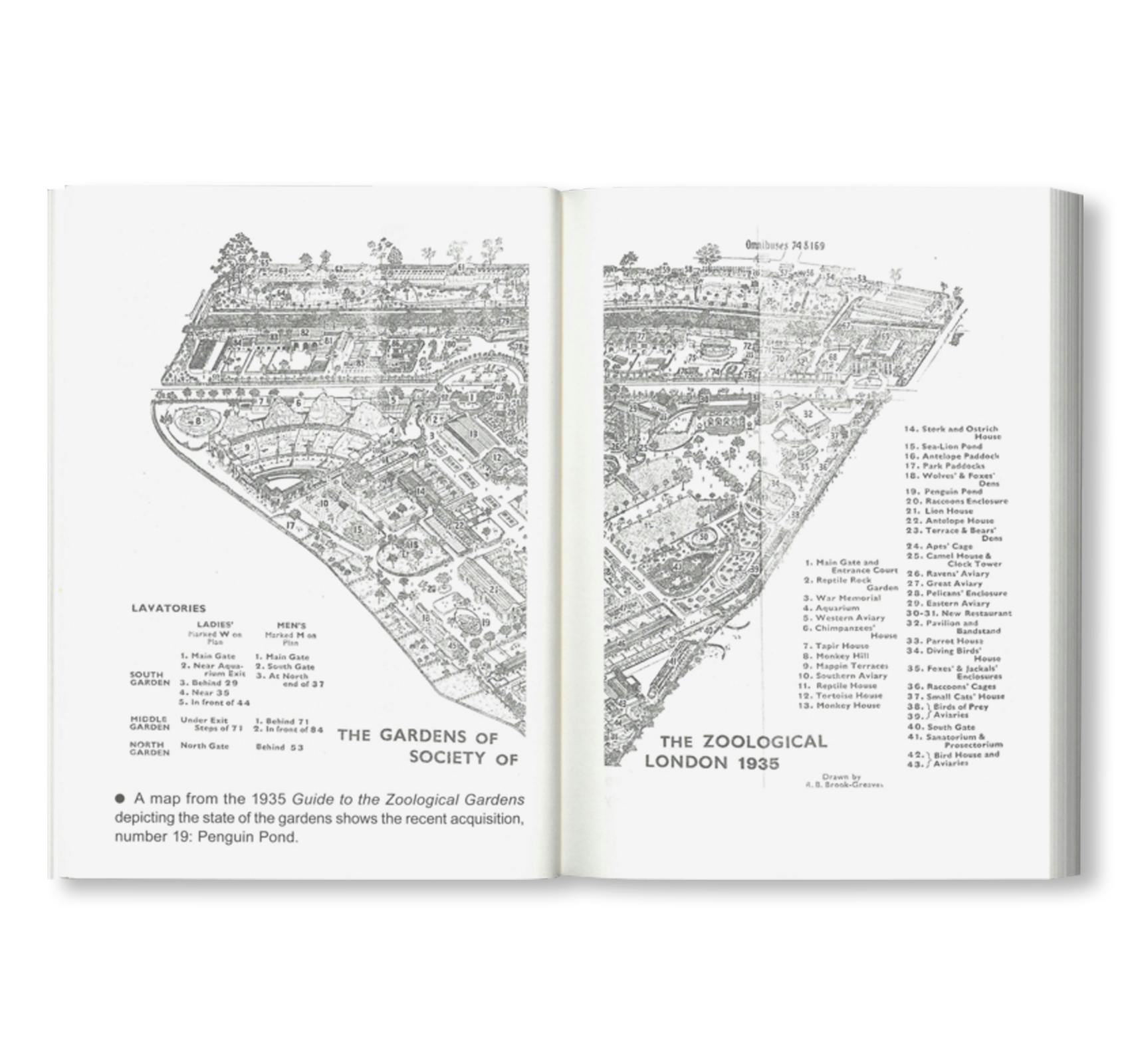 NOT A PENGUIN POOL: ECHOES OF MORE-THAN-HUMAN ENTANGLEMENTS / Bauhaus Paperback 28