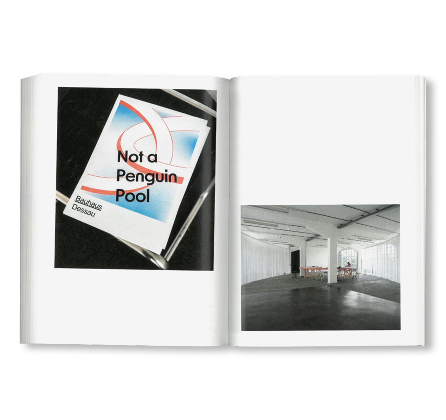 NOT A PENGUIN POOL: ECHOES OF MORE-THAN-HUMAN ENTANGLEMENTS / Bauhaus Paperback 28