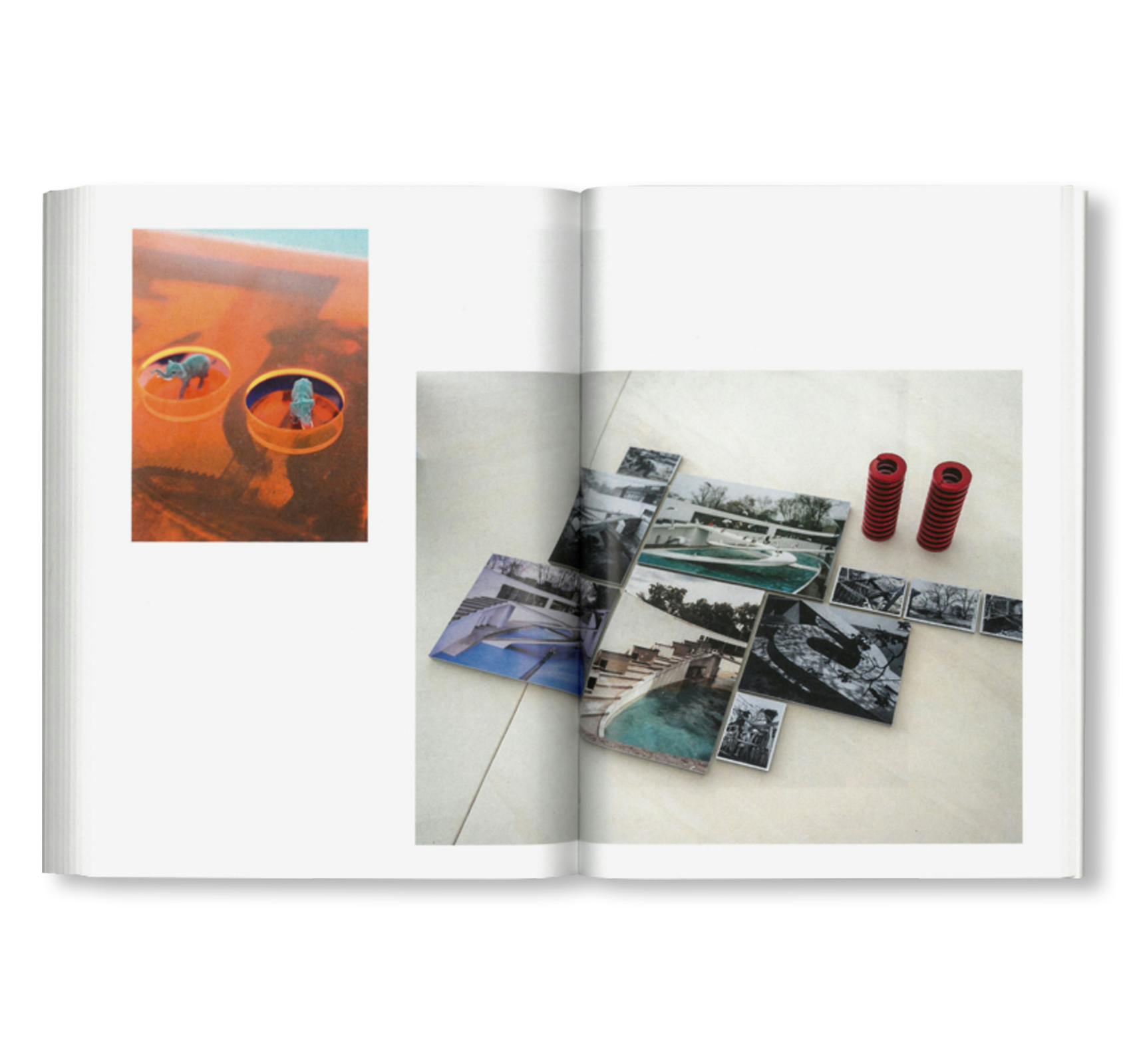 NOT A PENGUIN POOL: ECHOES OF MORE-THAN-HUMAN ENTANGLEMENTS / Bauhaus Paperback 28