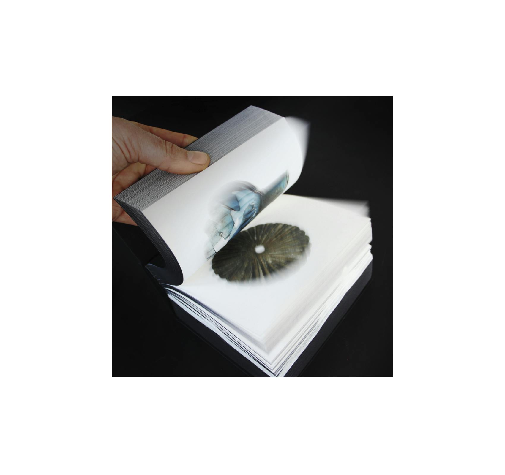 ONDER / UNDER AMSTERDAM