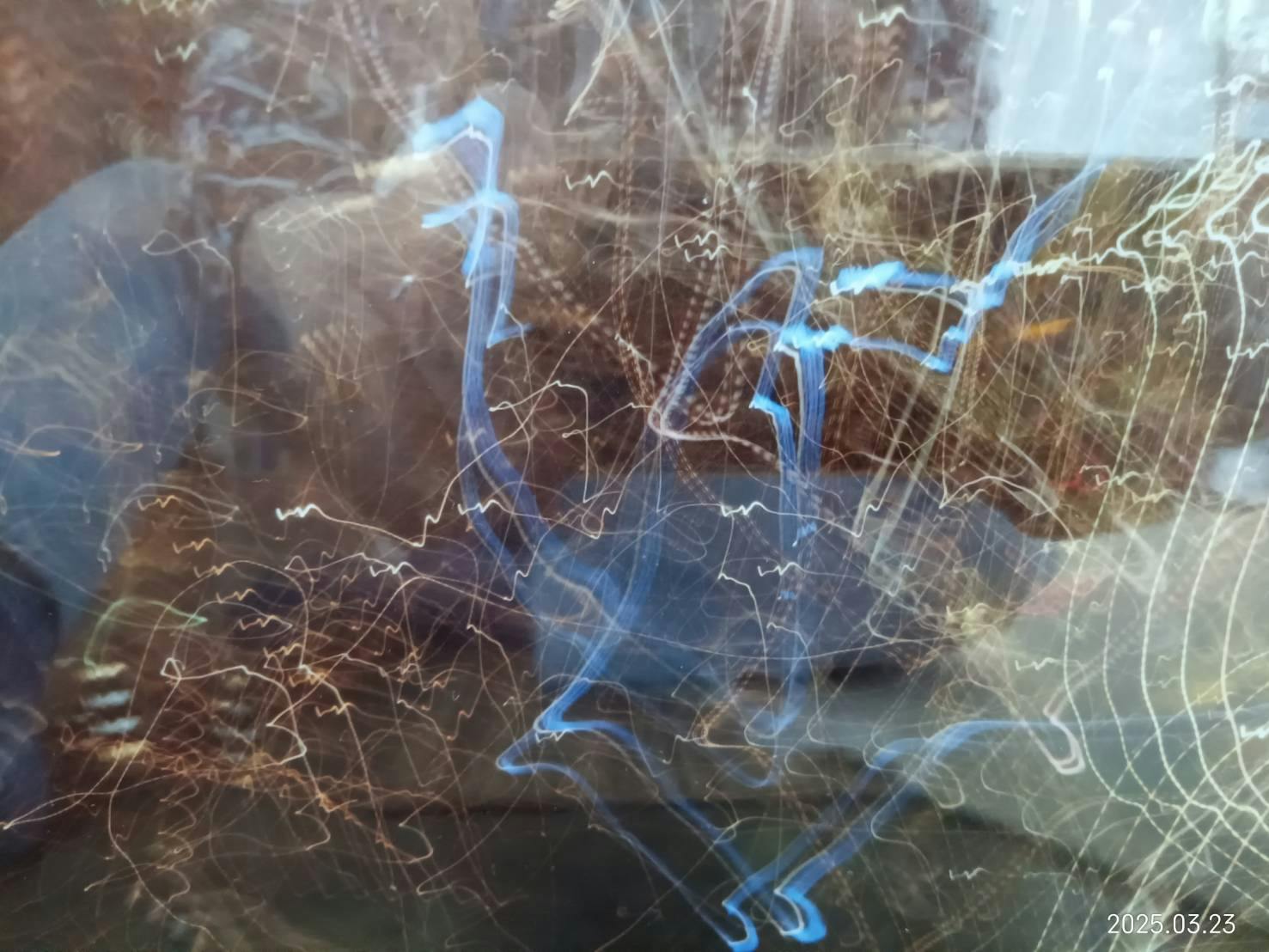 光の軌跡による作品