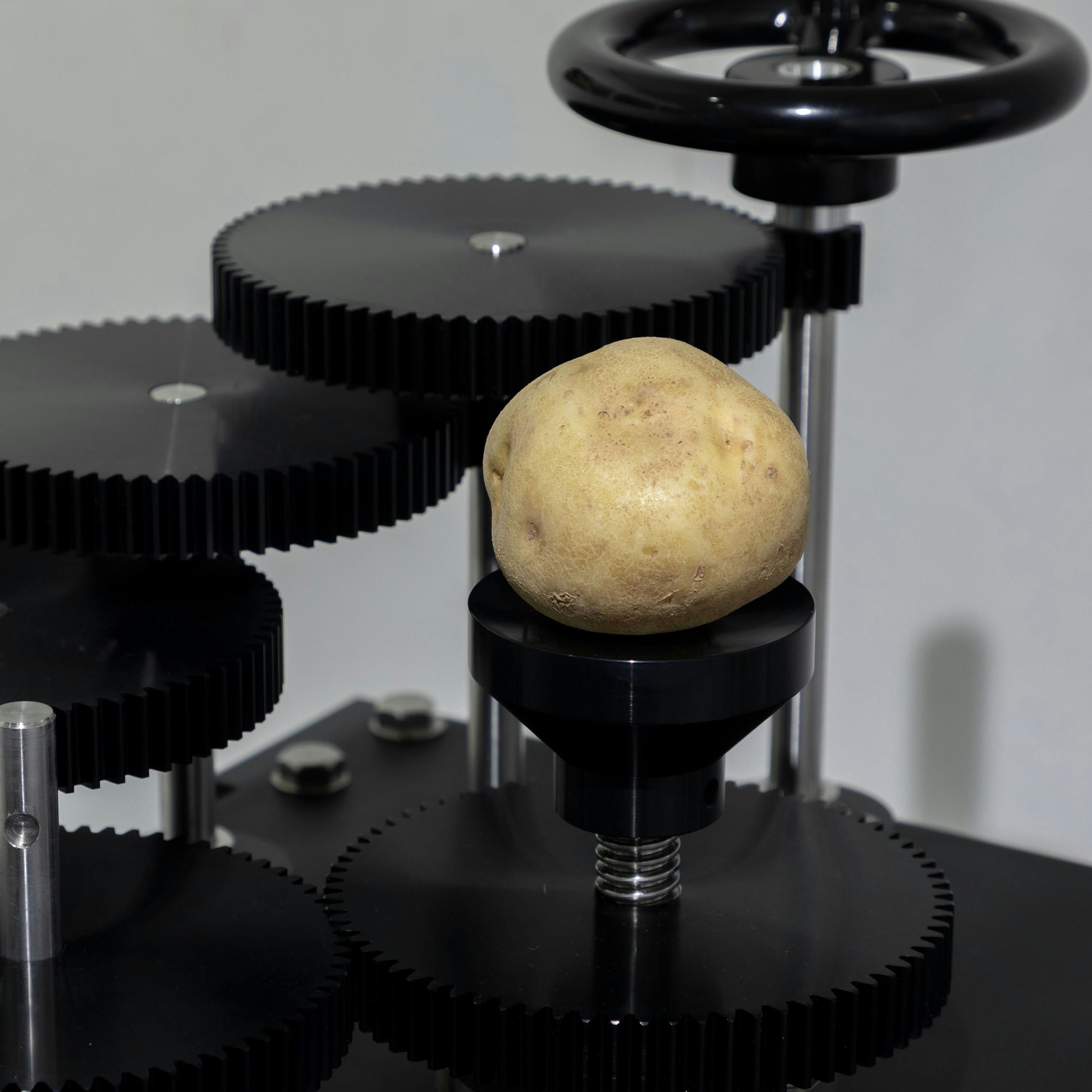 芋の皮を剥くことでさえ　Even peeling potatoes