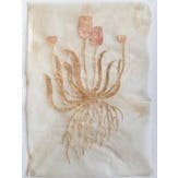 花ひとつ（ももいろのチューリップ）