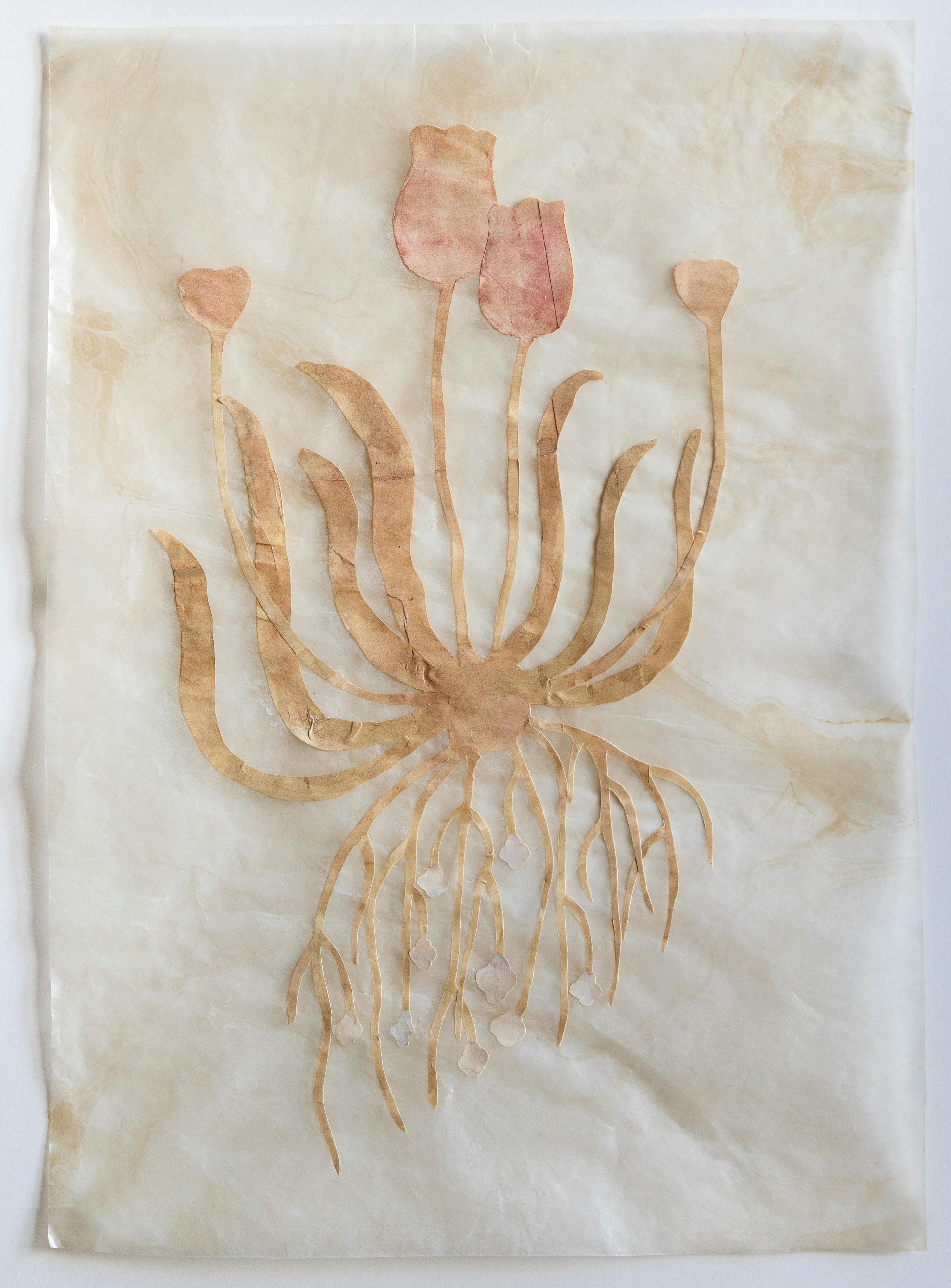 花ひとつ（ももいろのチューリップ）