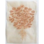 花ひとつ（ももいろの花）