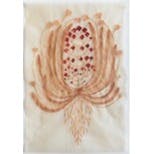 花ひとつ（ももいろの花、赤い花）