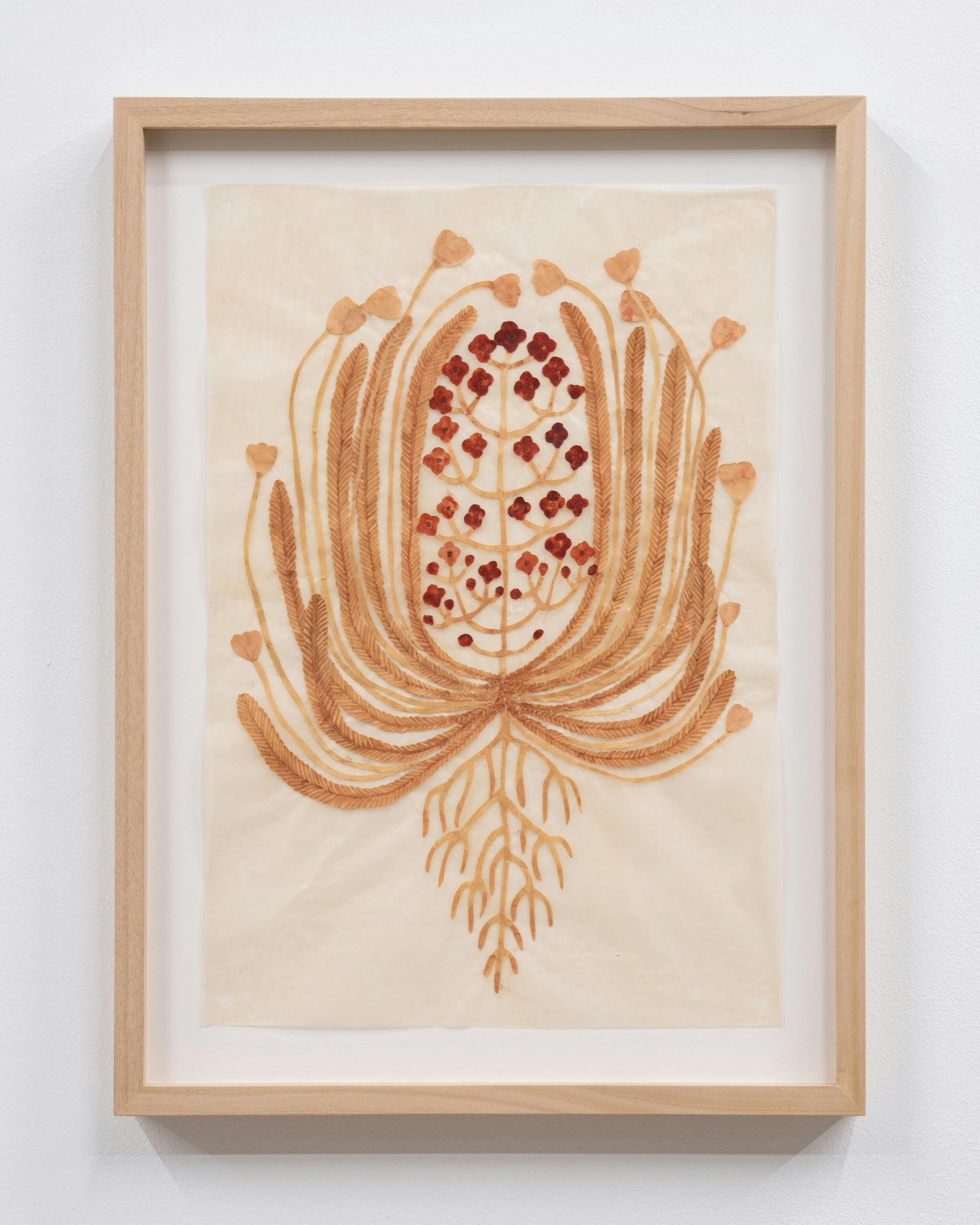 花ひとつ（ももいろの花、赤い花）