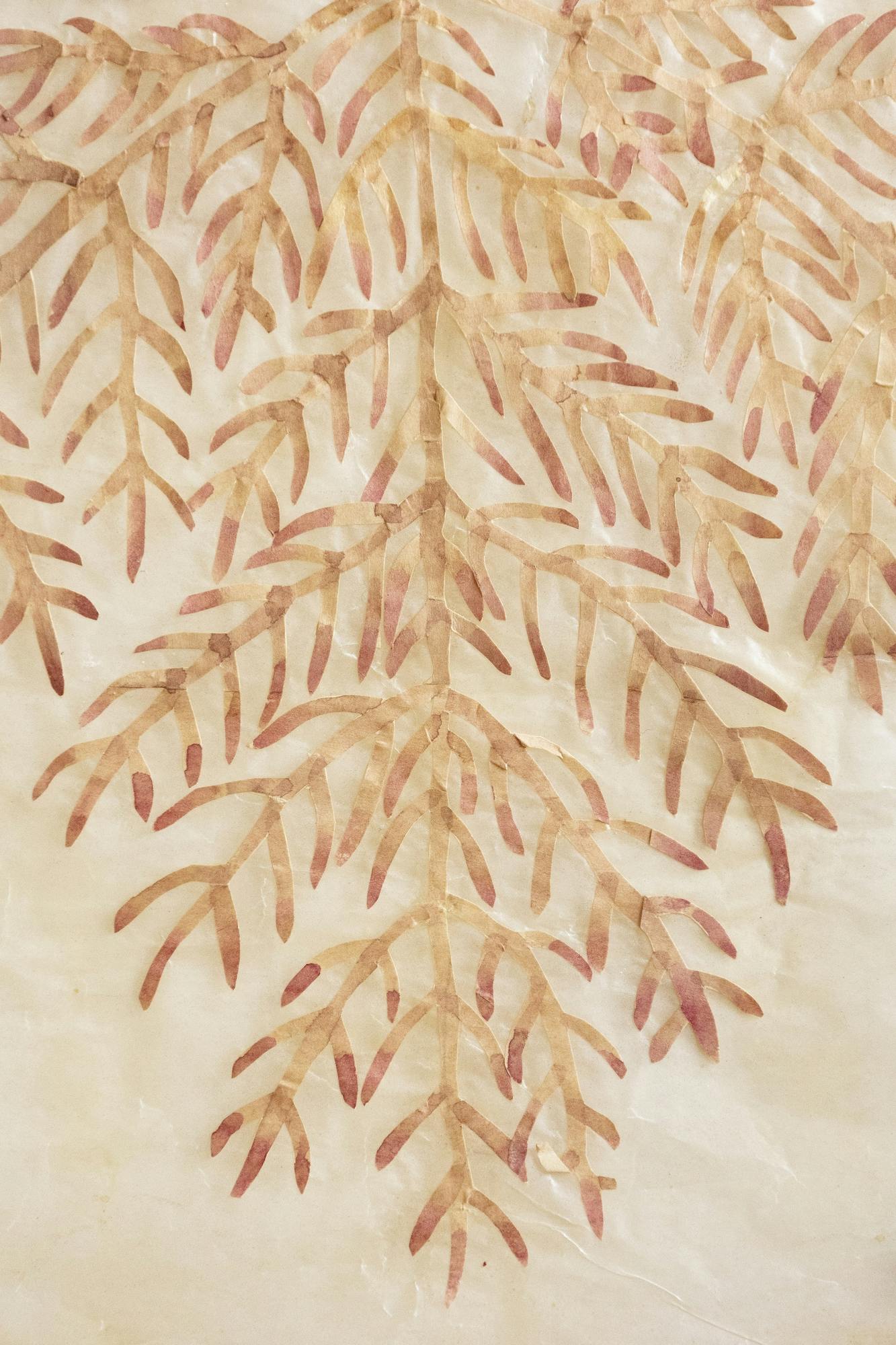 温かい家 2026_11