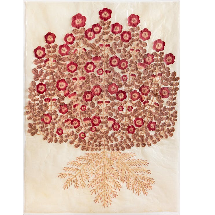 温かい家 2026_11