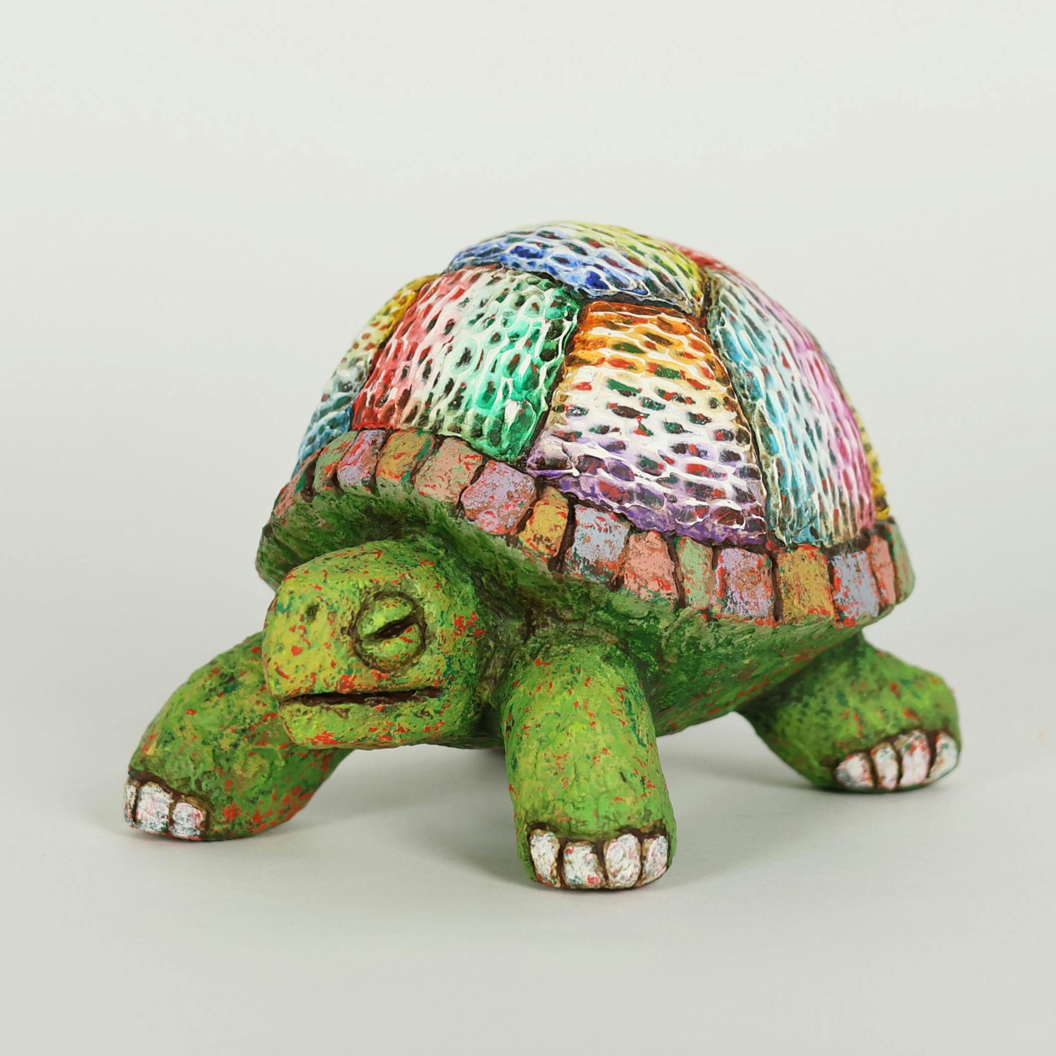 ホシノカタチ -カメ-