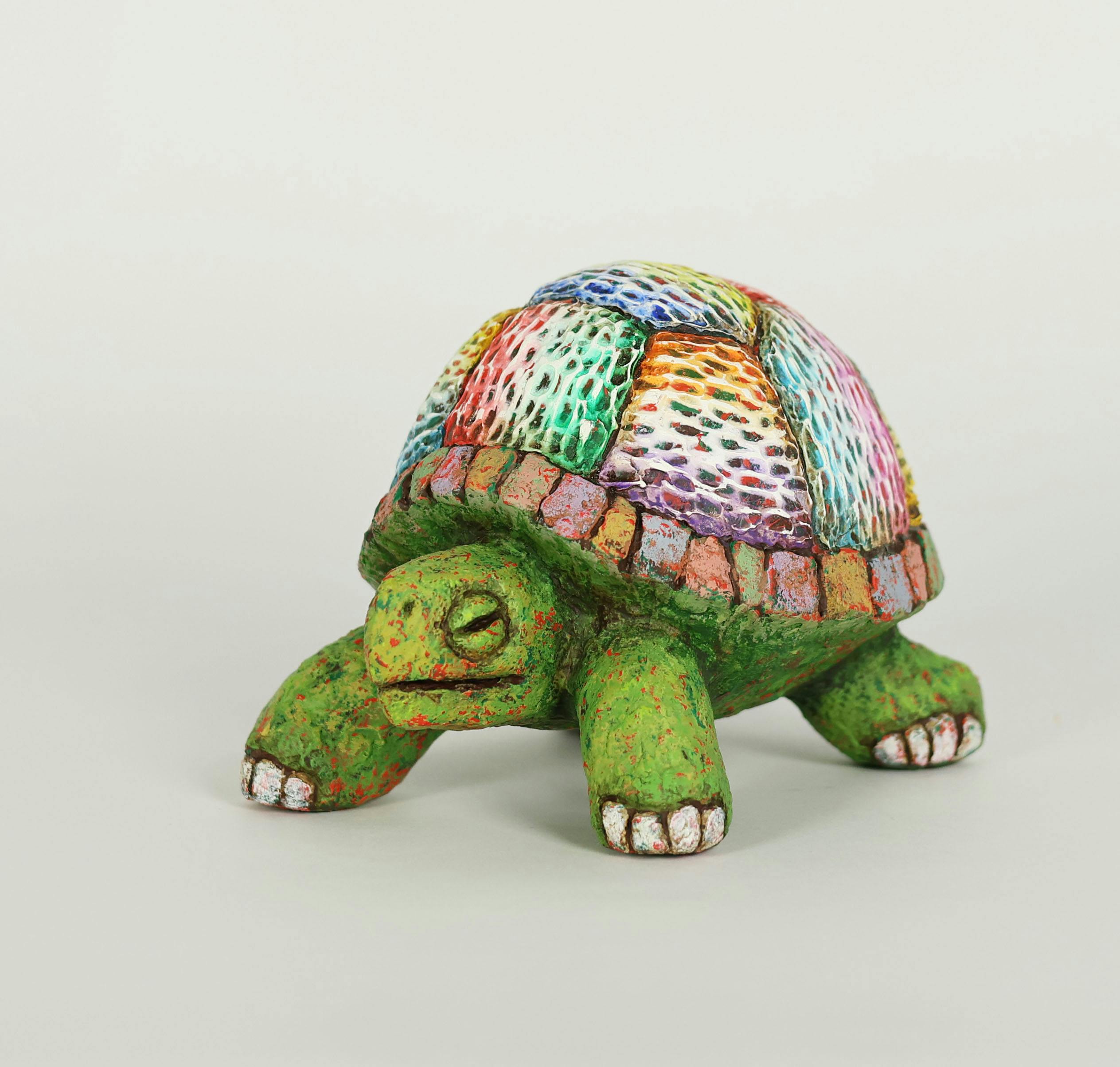 ホシノカタチ -カメ-