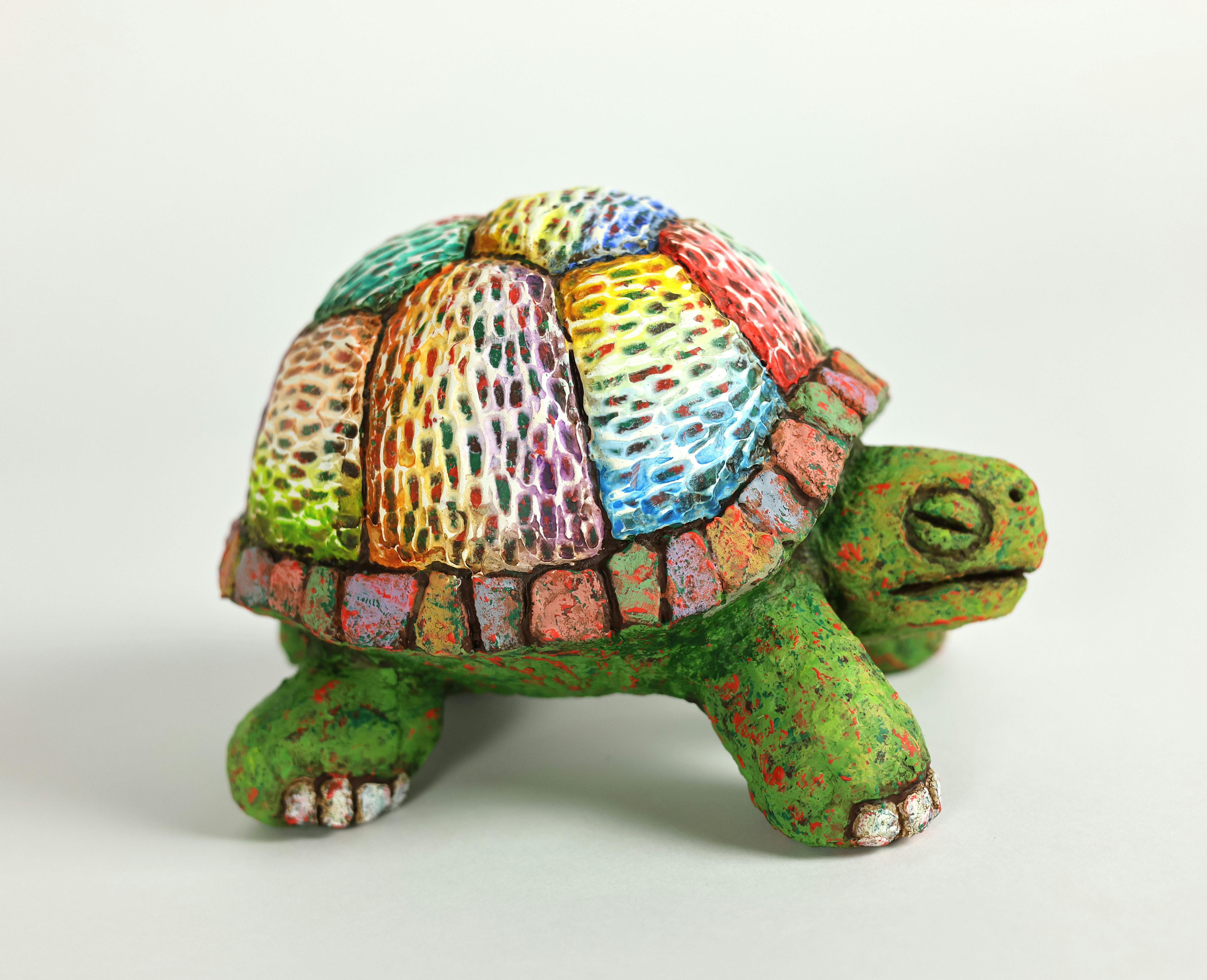 ホシノカタチ -カメ-