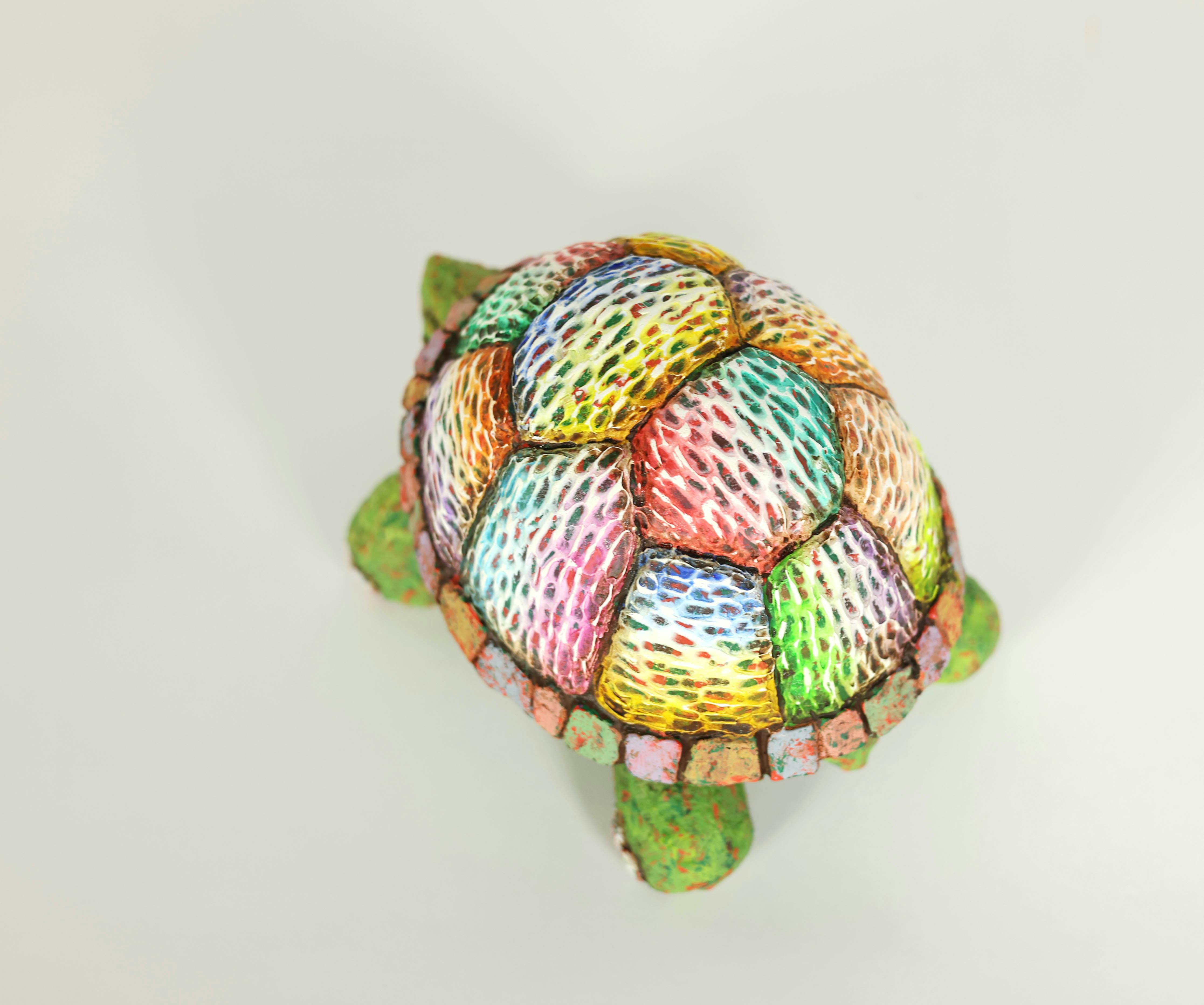 ホシノカタチ -カメ-