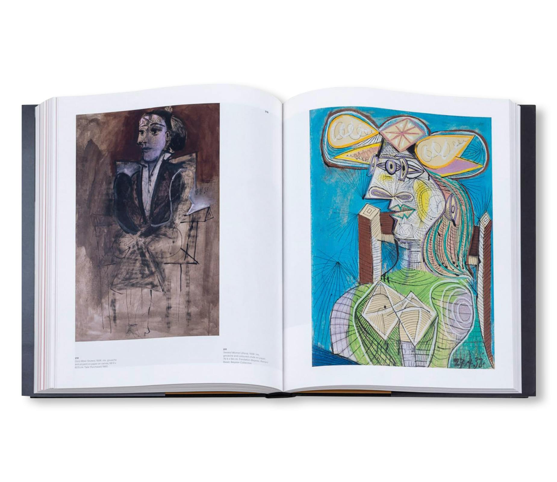 PICASSO AND PAPER [SOFTCOVER]