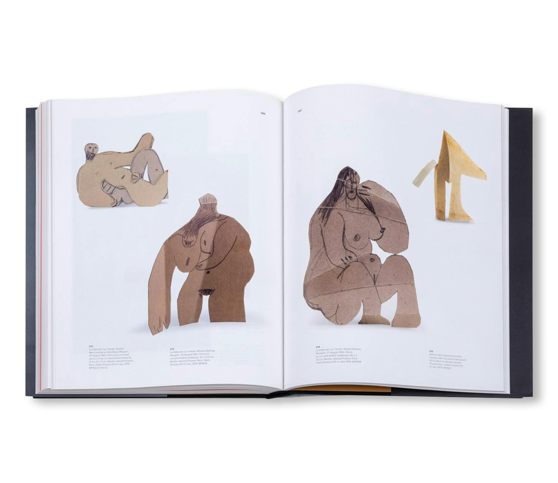 PICASSO AND PAPER [SOFTCOVER]