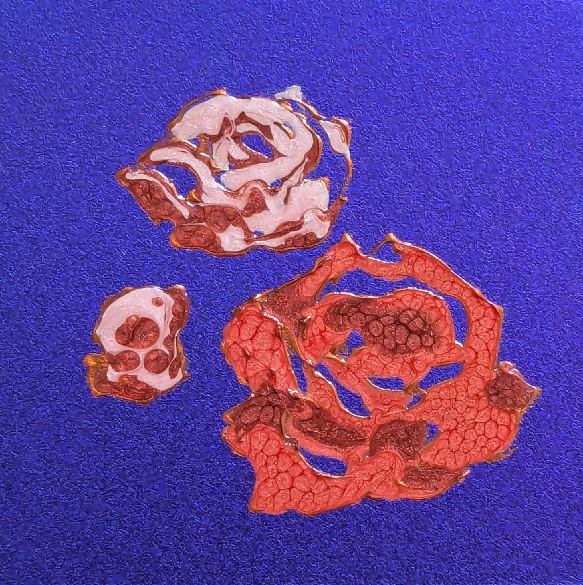 10×10 -テンバイテン- うたかた-2607