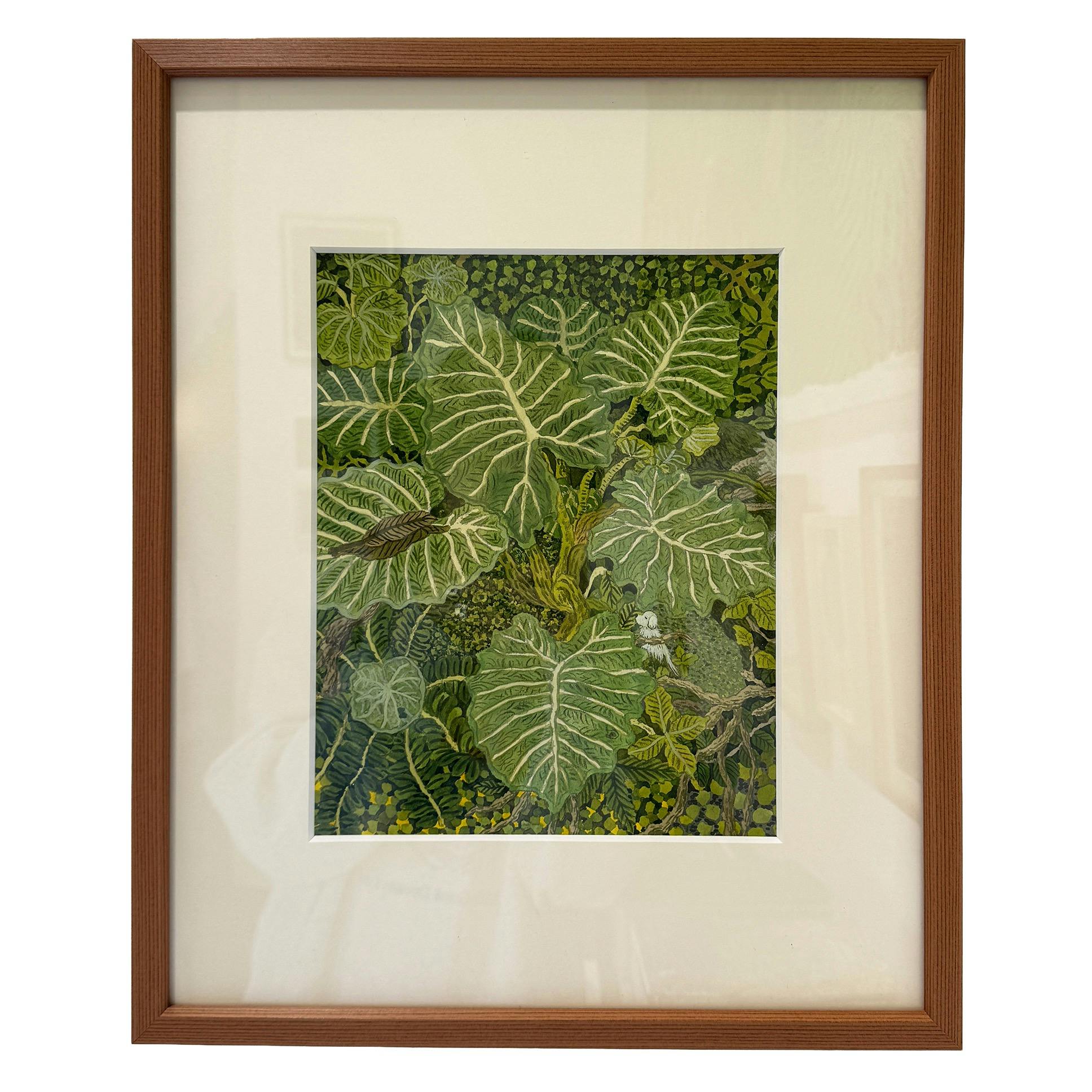 クワズイモとシダ