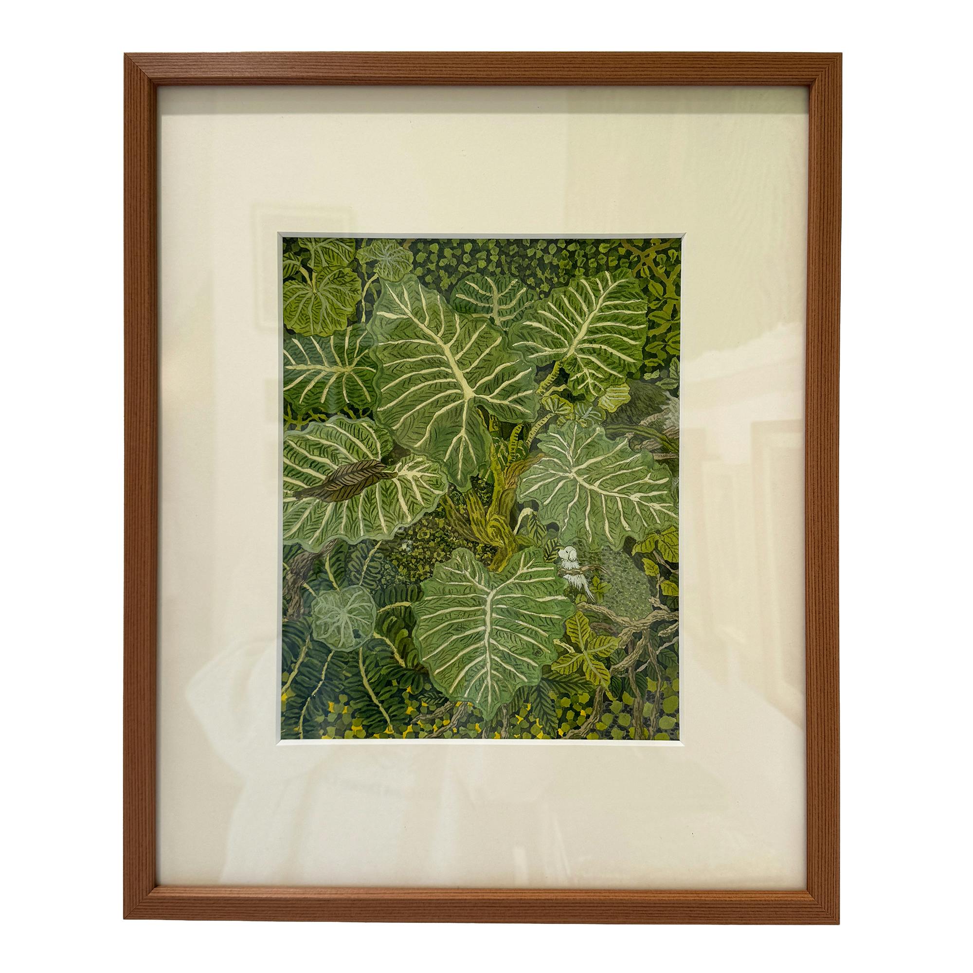 クワズイモとシダ