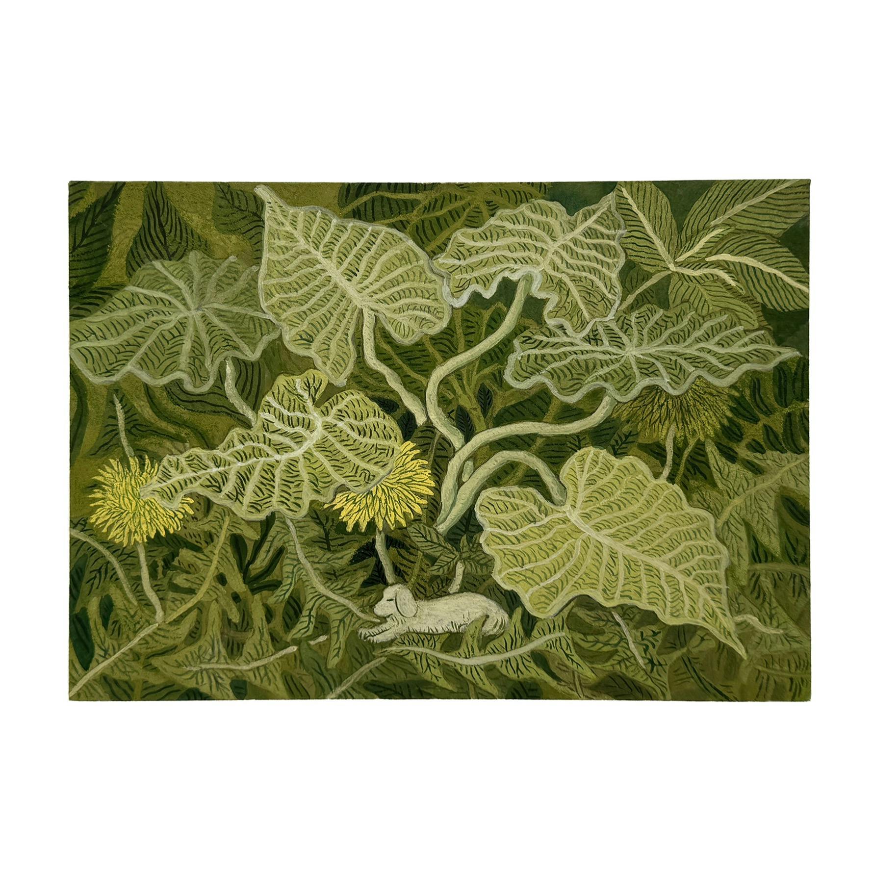 クワズイモとタンポポ