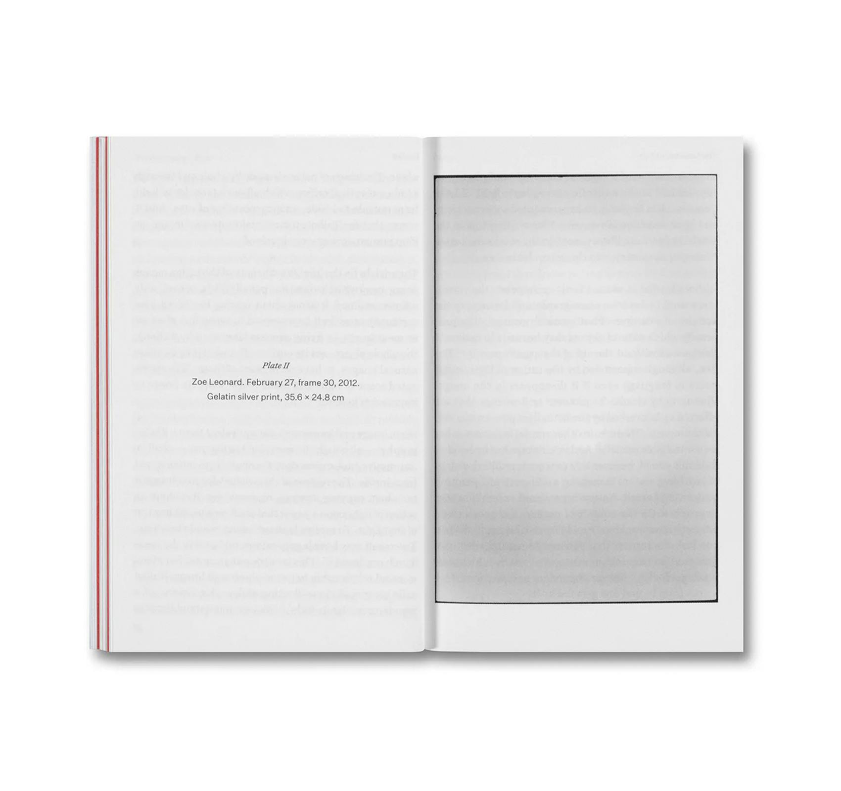 THE DEVOURING EYE: PHOTOGRAPHY AND THE MOUTH