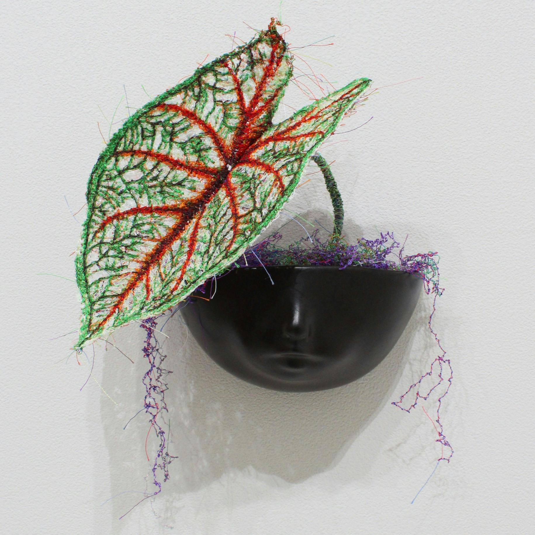 MIYATA Sayaka × MIKI Yoko Knots Caladium × Pot-baby