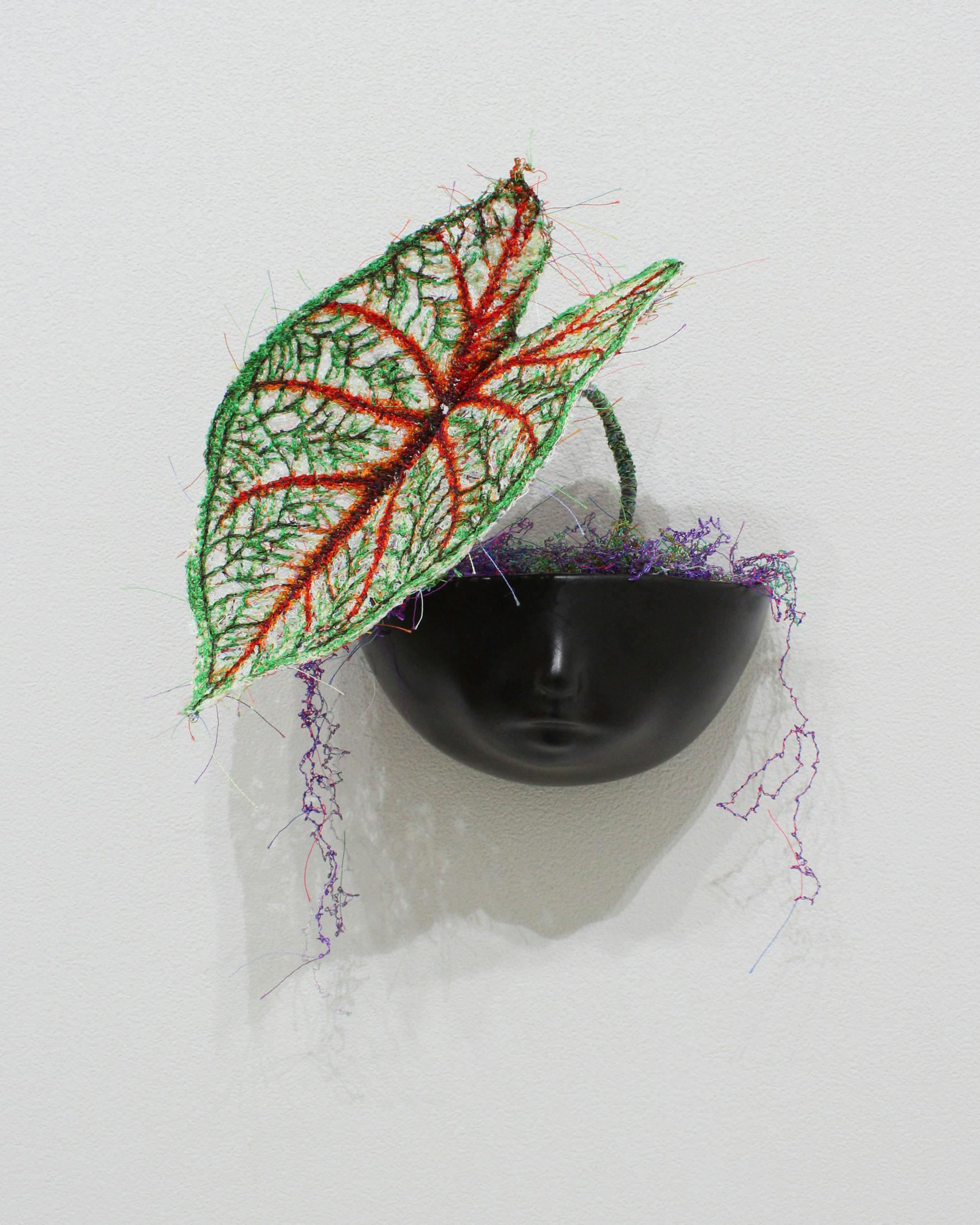 MIYATA Sayaka × MIKI Yoko Knots Caladium × Pot-baby