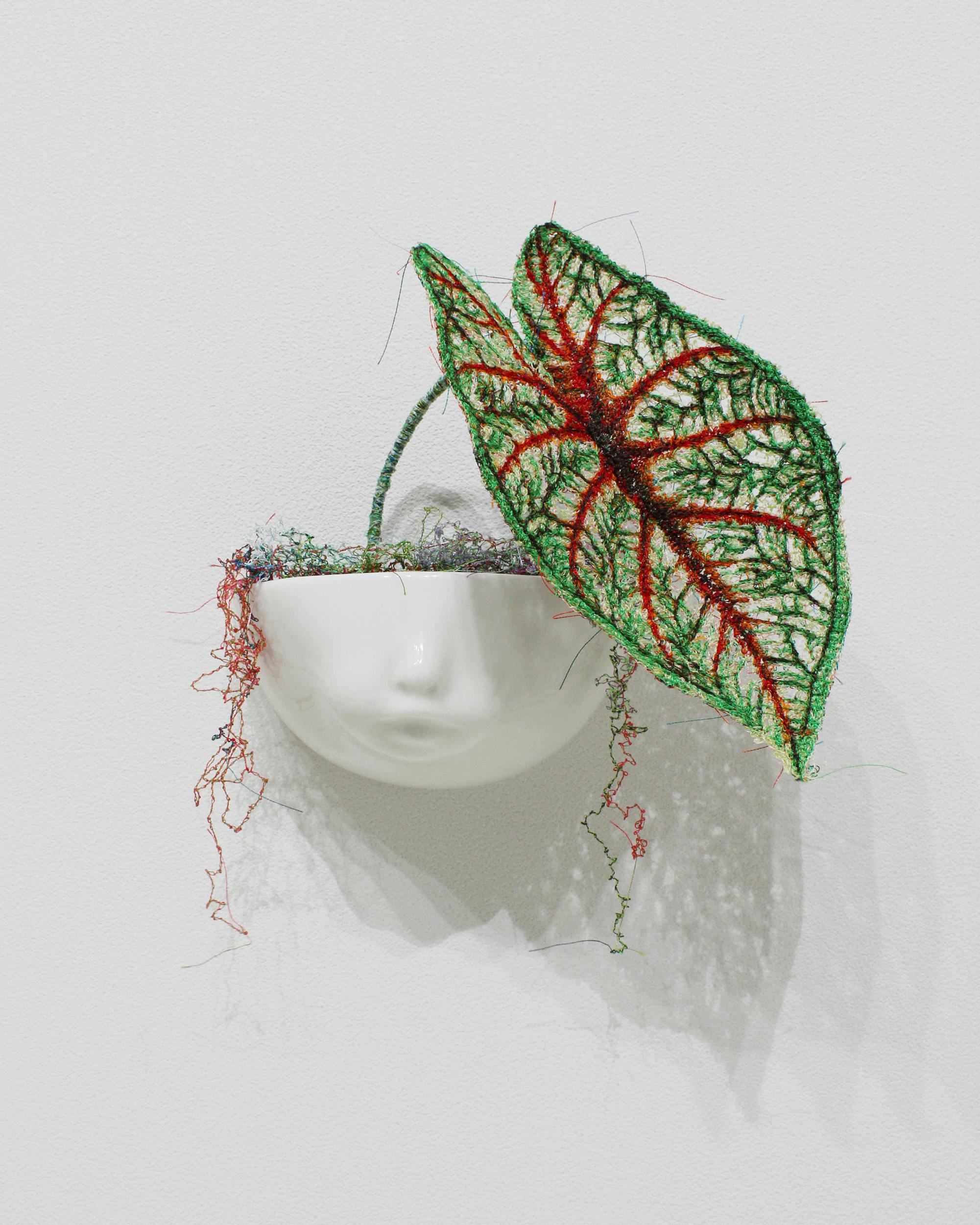 MIYATA Sayaka × MIKI Yoko Knots Caladium × Pot-baby