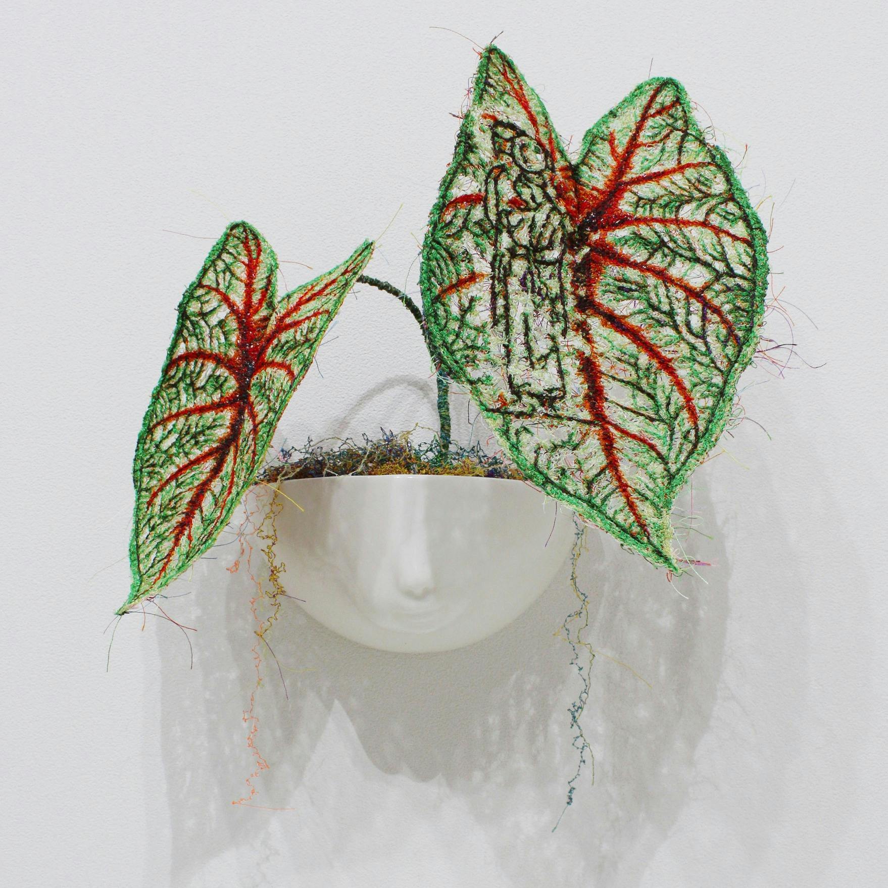 MIYATA Sayaka × MIKI Yoko Knots Caladium × Pot-baby