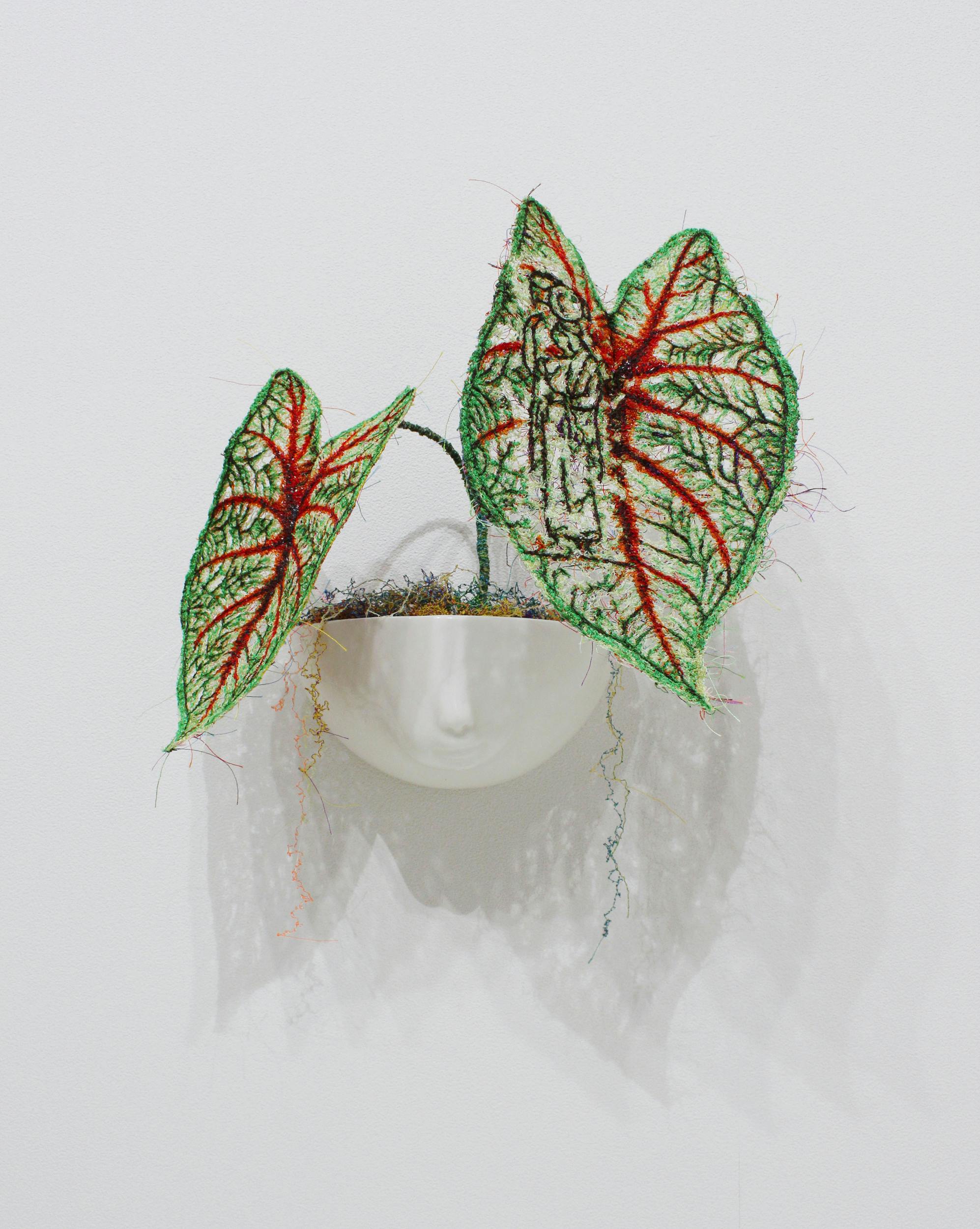 MIYATA Sayaka × MIKI Yoko Knots Caladium × Pot-baby