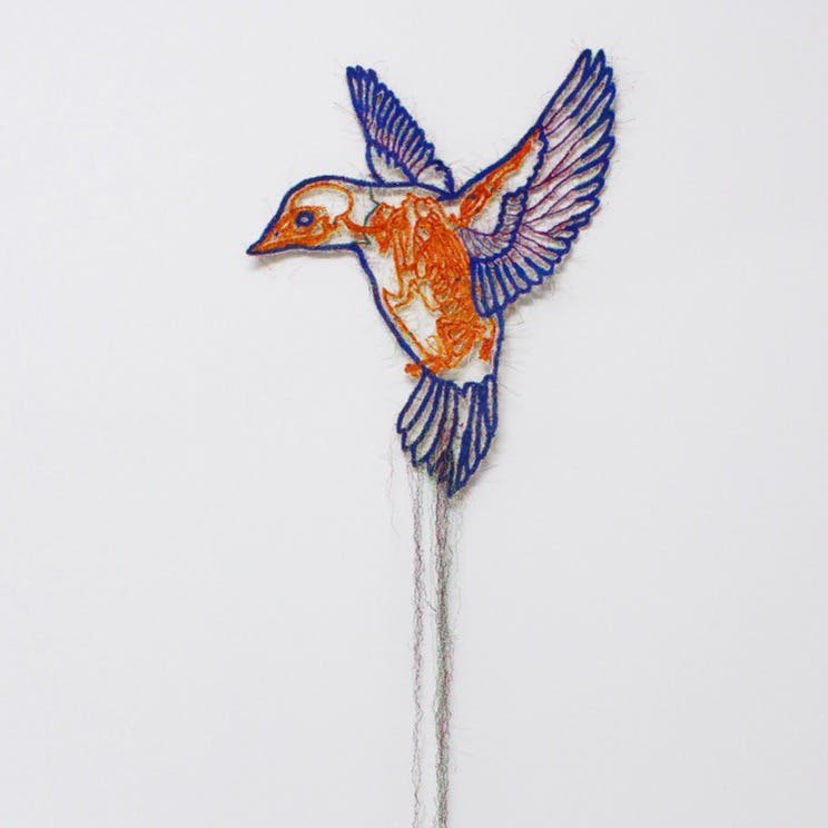  Knots －signal bird－