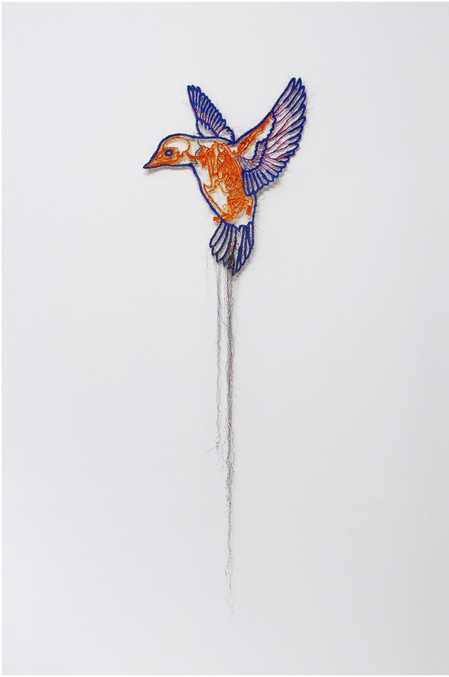  Knots －signal bird－