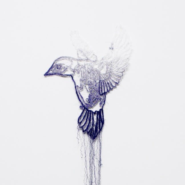  Knots －signal bird－