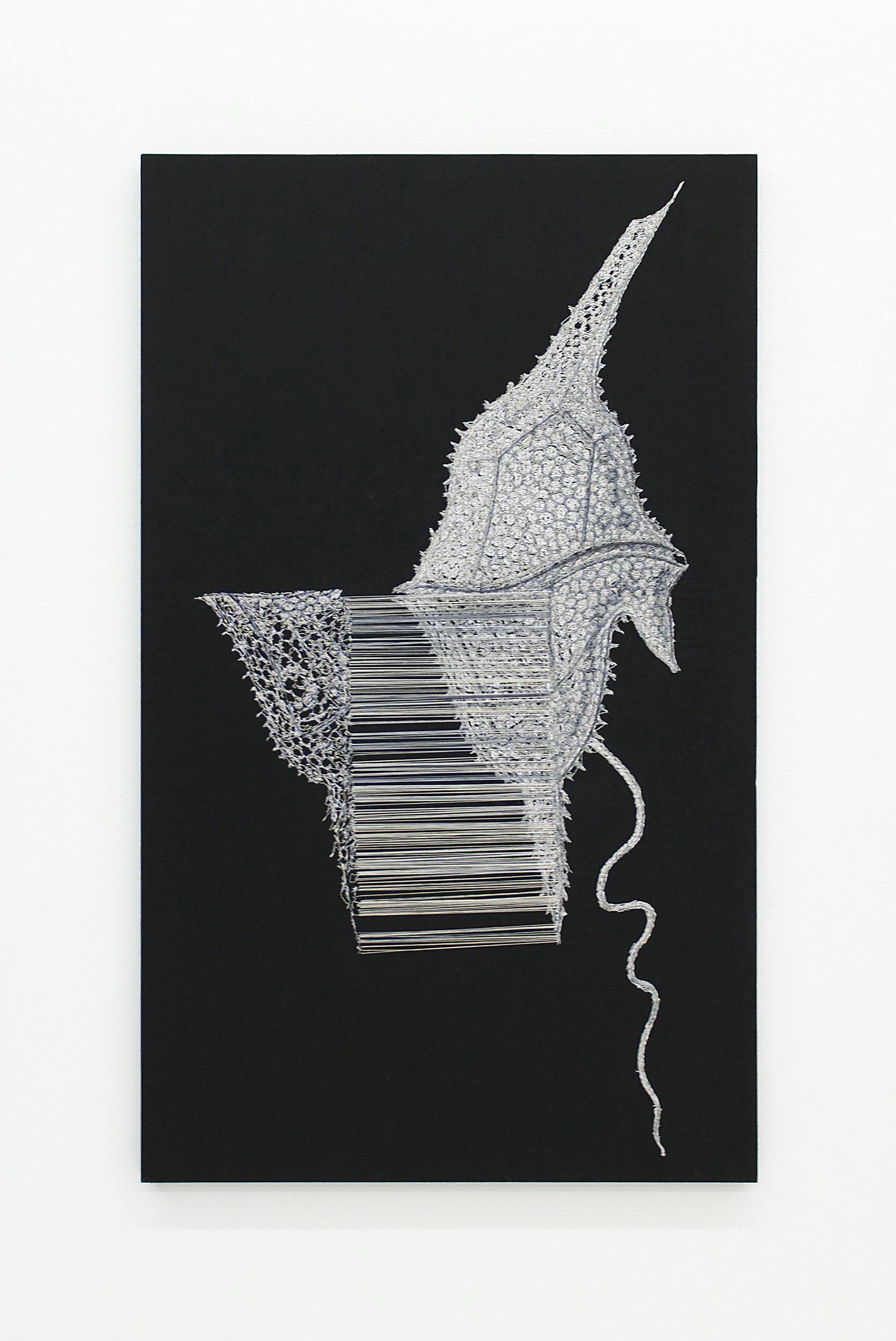 WARPⅡ  –エルンスト・ヘッケルへのオマージュ– (BLACK)