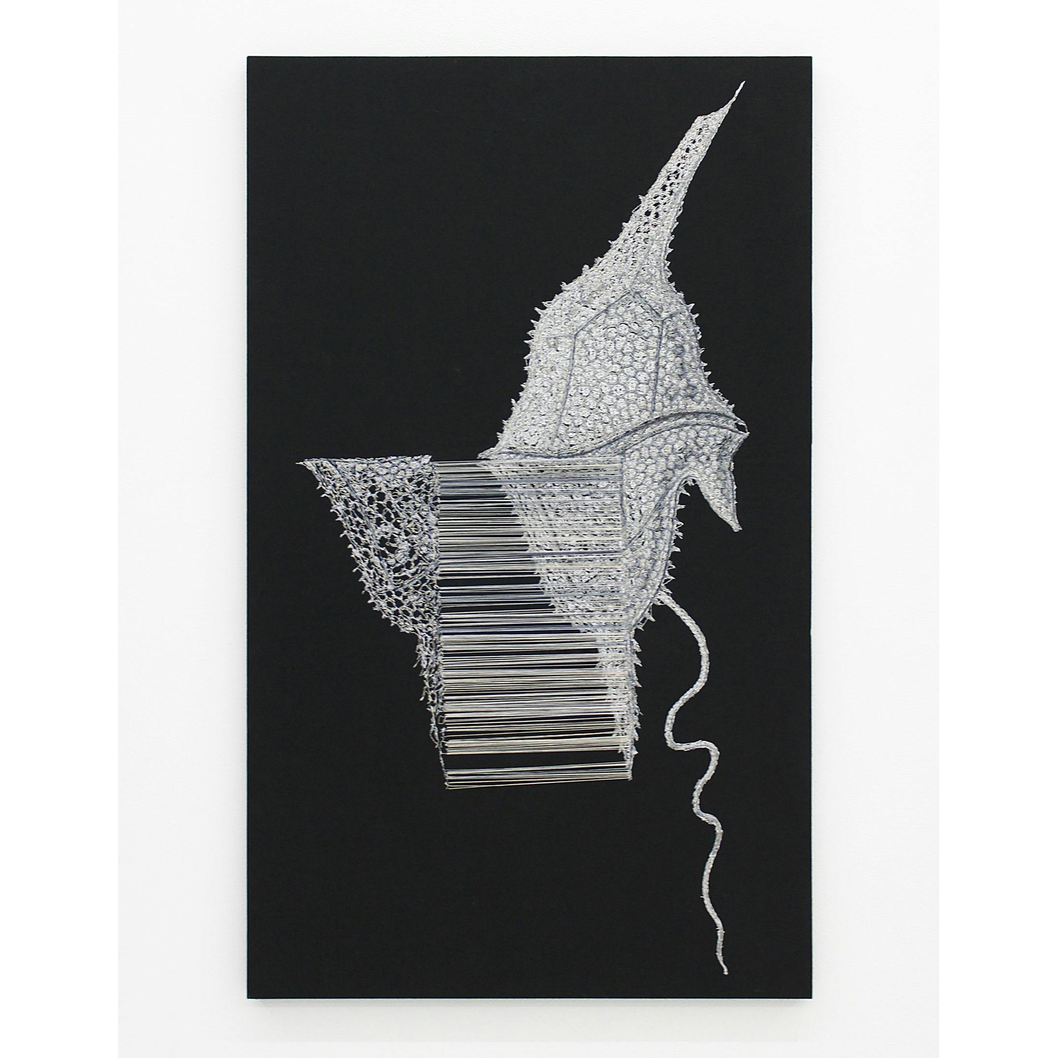 WARPⅡ  –エルンスト・ヘッケルへのオマージュ– (BLACK)