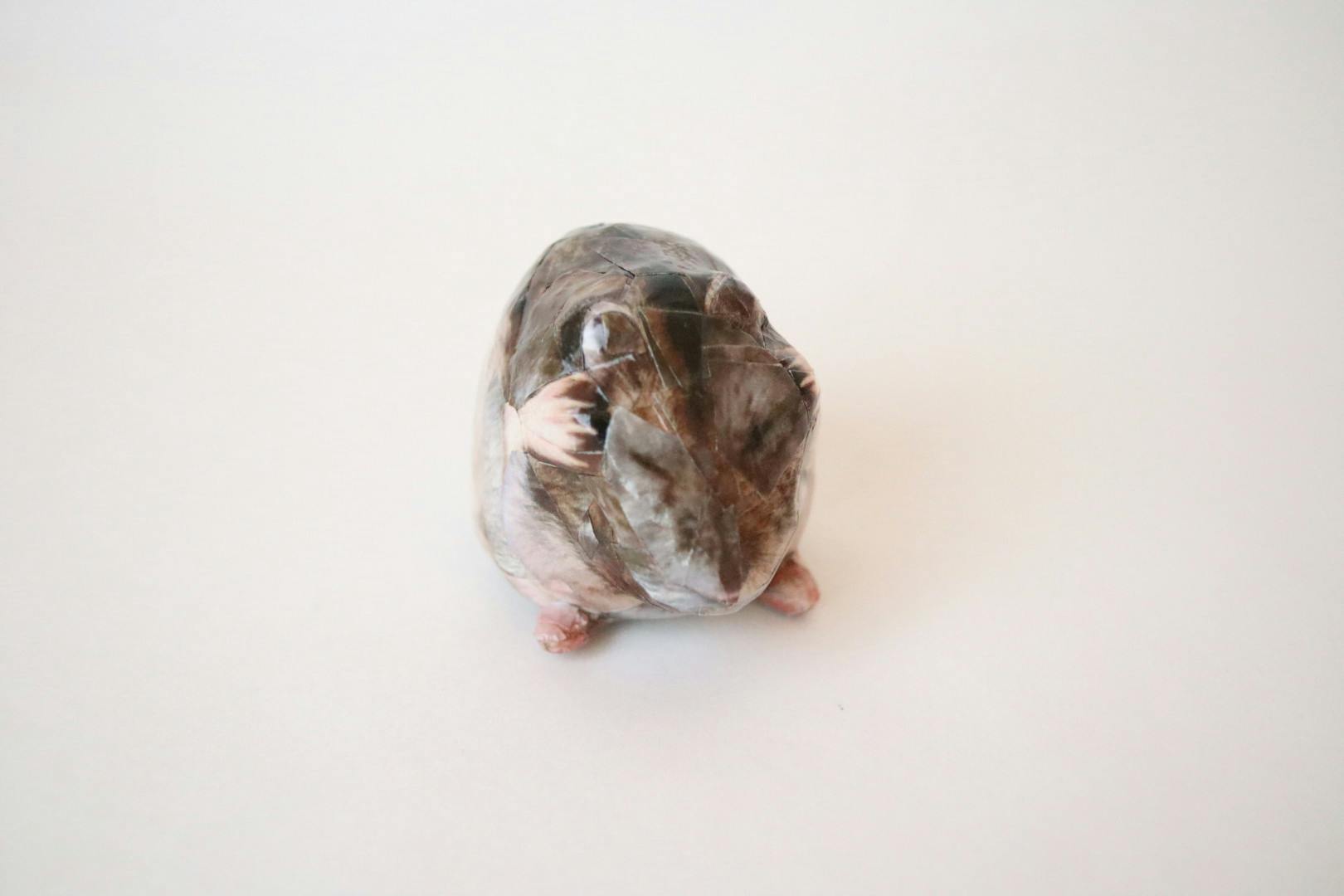 まだ何もわからないお子さんハム