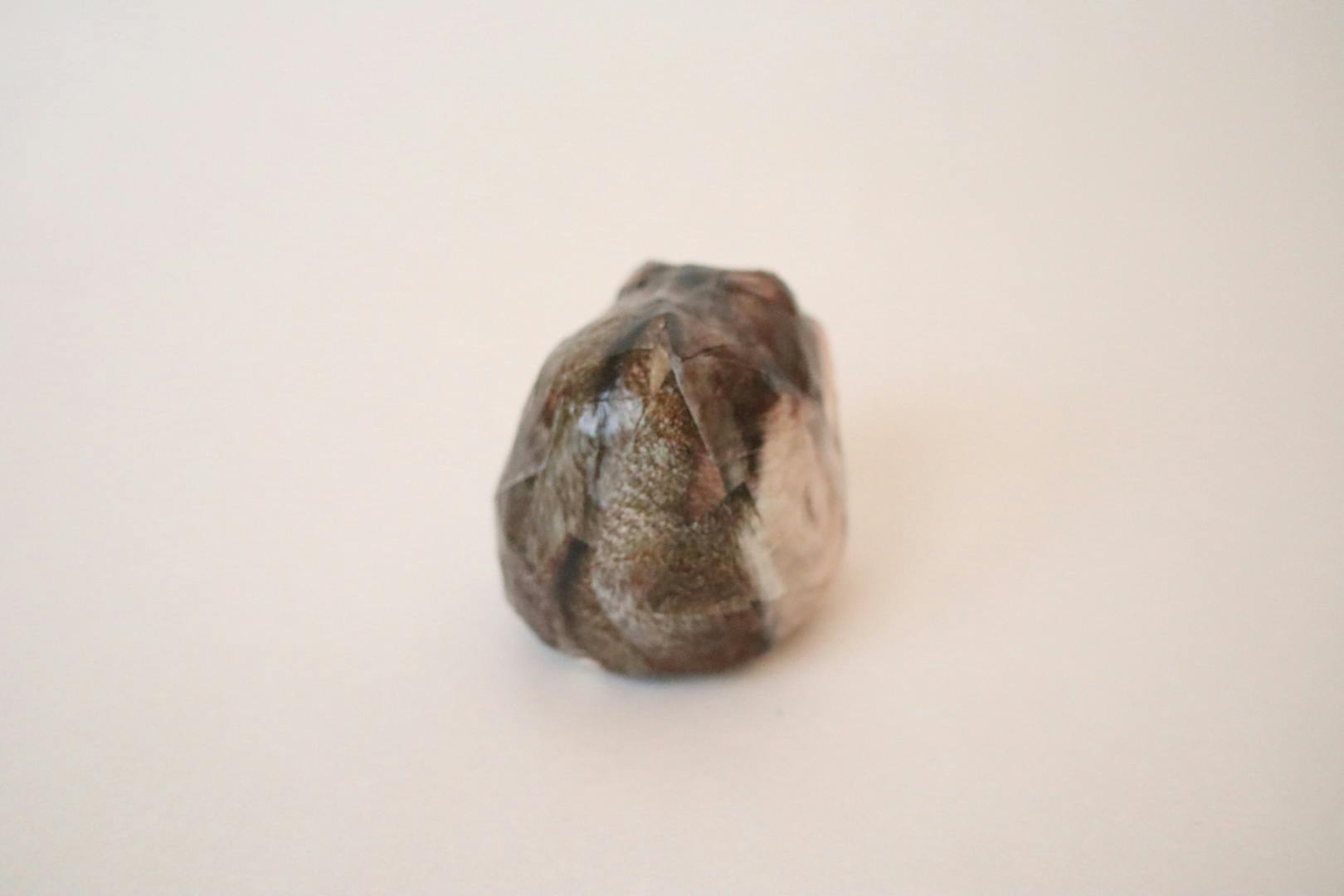 まだ何もわからないお子さんハム