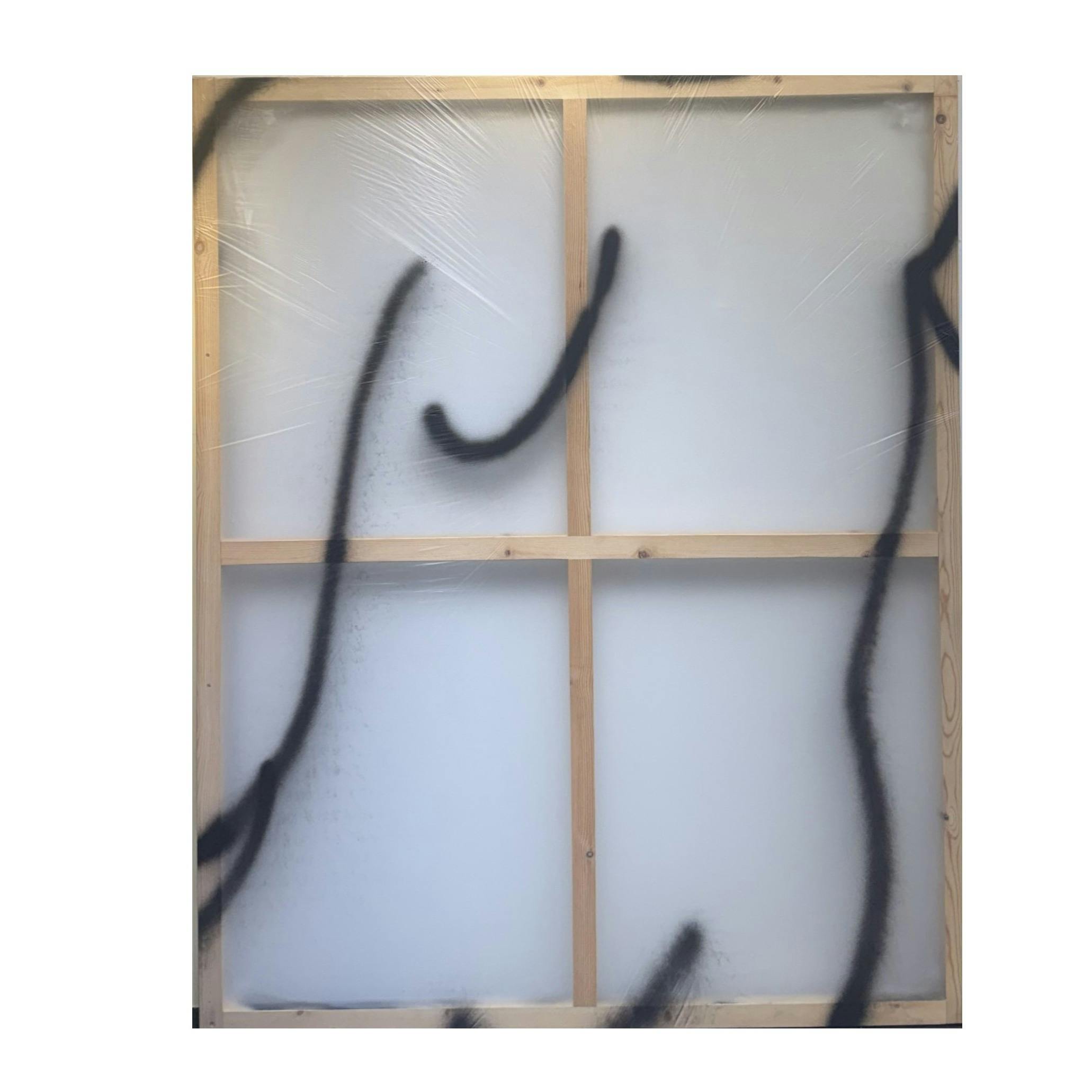 MAKE BODY TRANSPARENT10