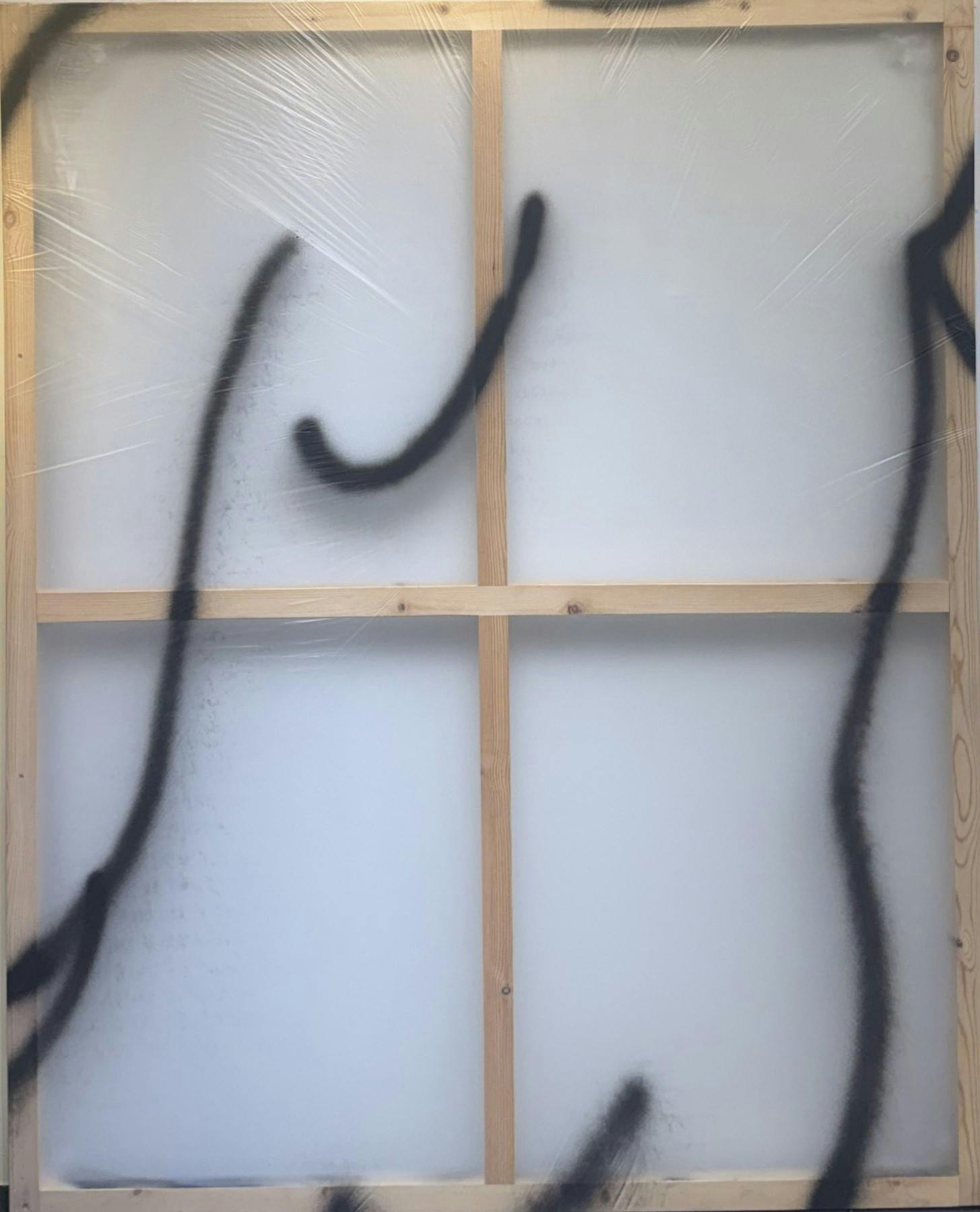 MAKE BODY TRANSPARENT10