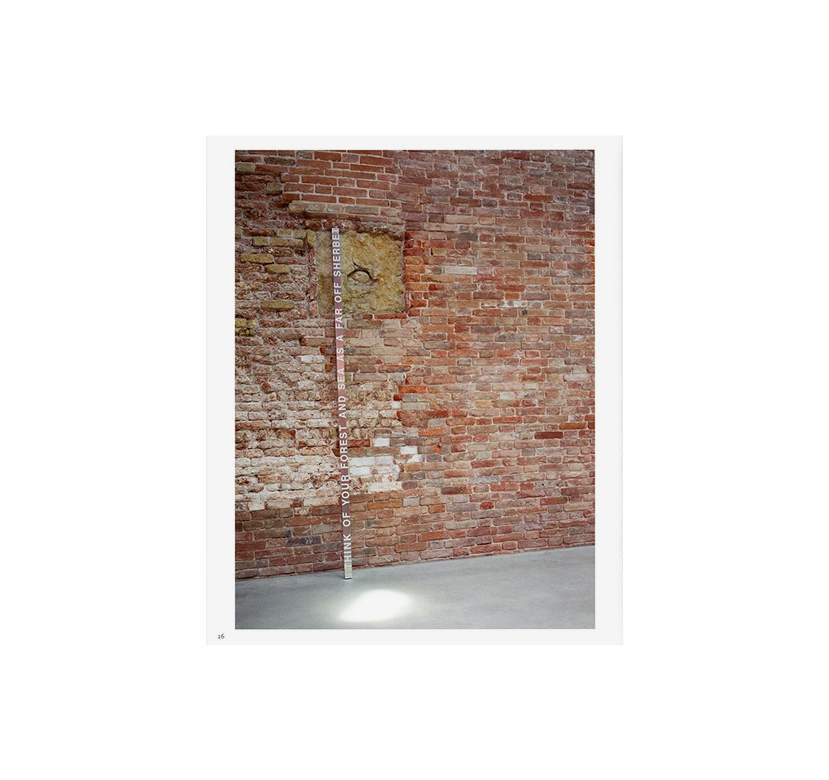RONI HORN: WATER WATER ON THE WALL, YOU’RE THE FAIREST OF THEM ALL