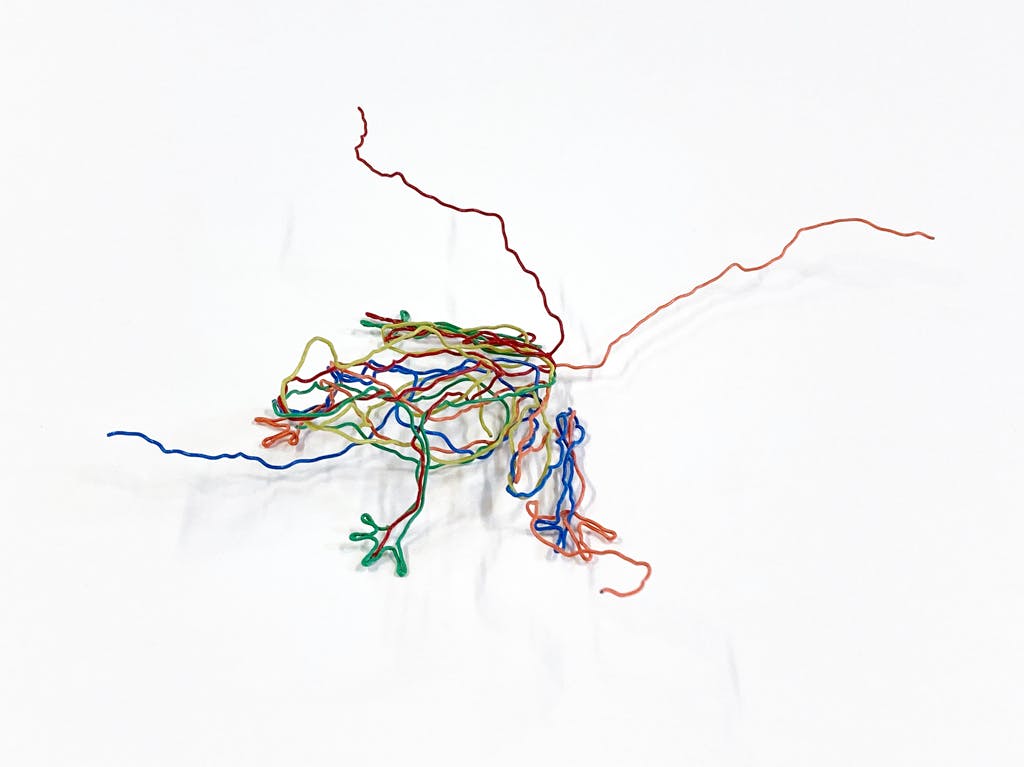 カエル・3D - 2020