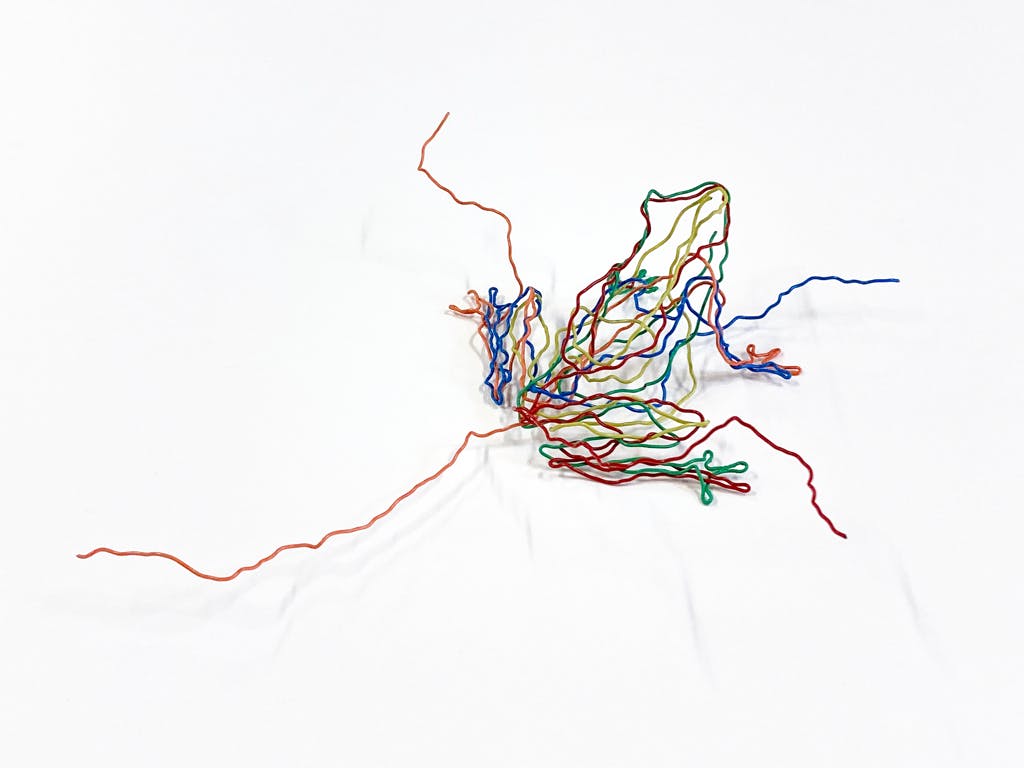 カエル・3D - 2020