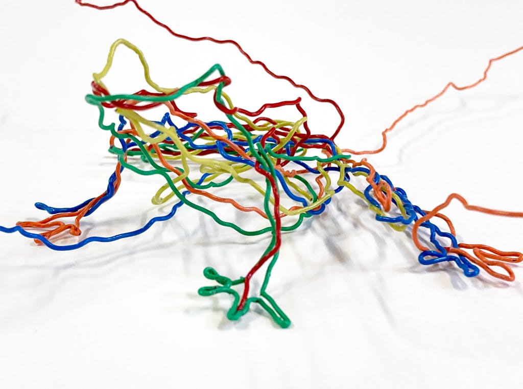 カエル・3D - 2020