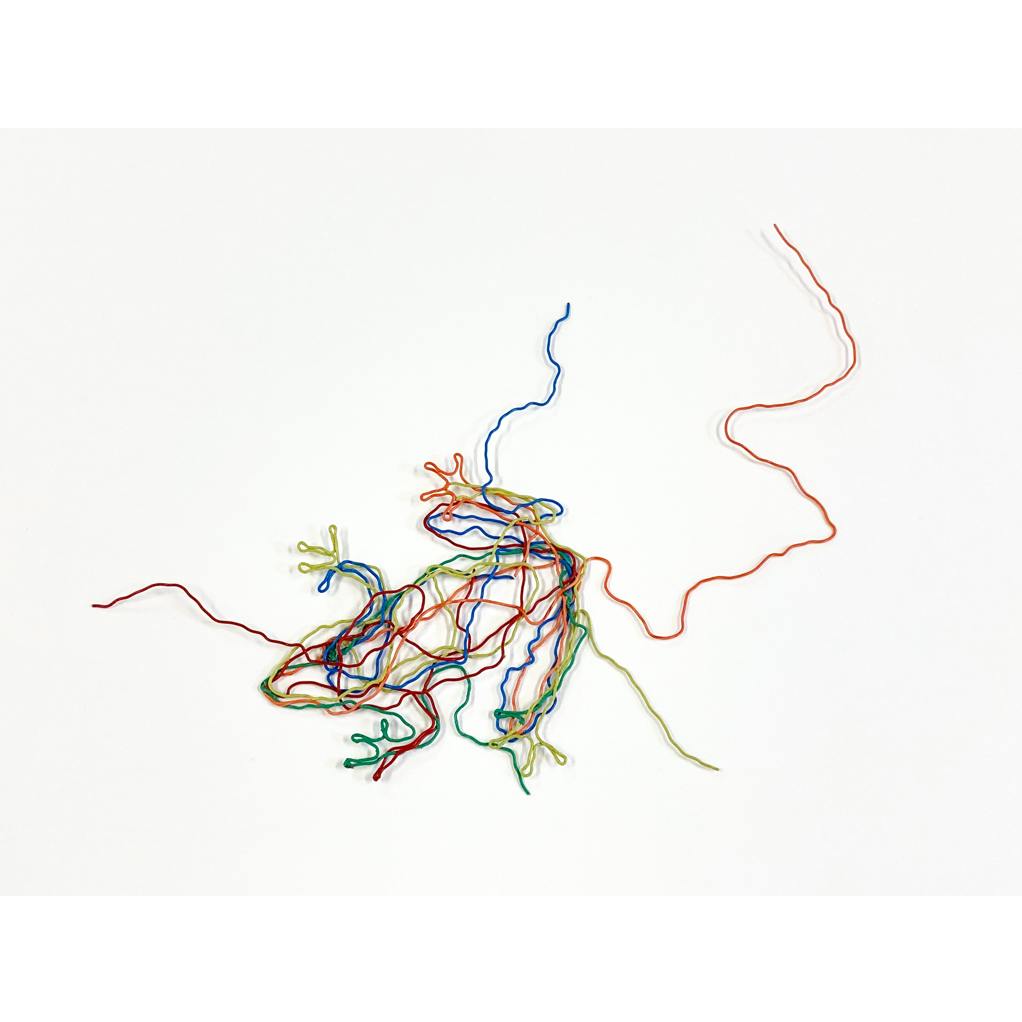 カエル・2D - 2020