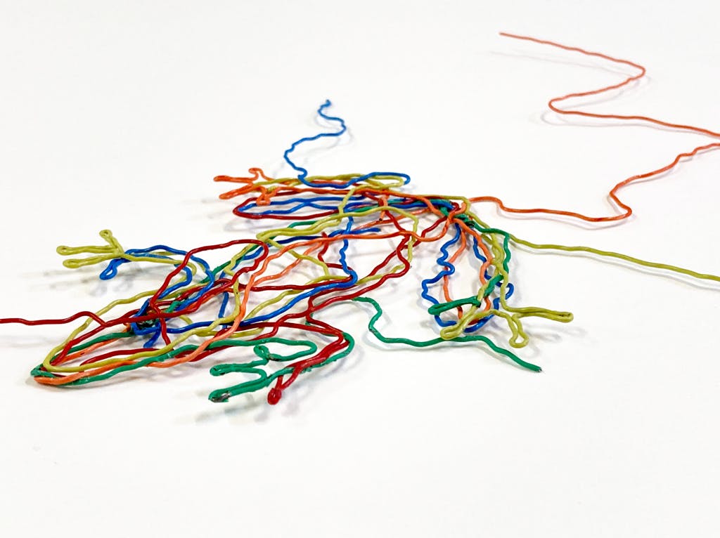 カエル・2D - 2020