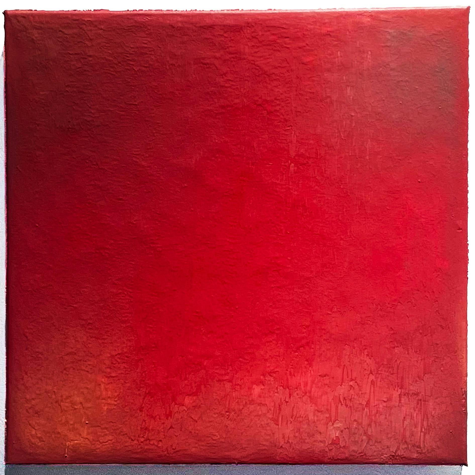 晃 | 超近景 －真珠の耳飾りの少女