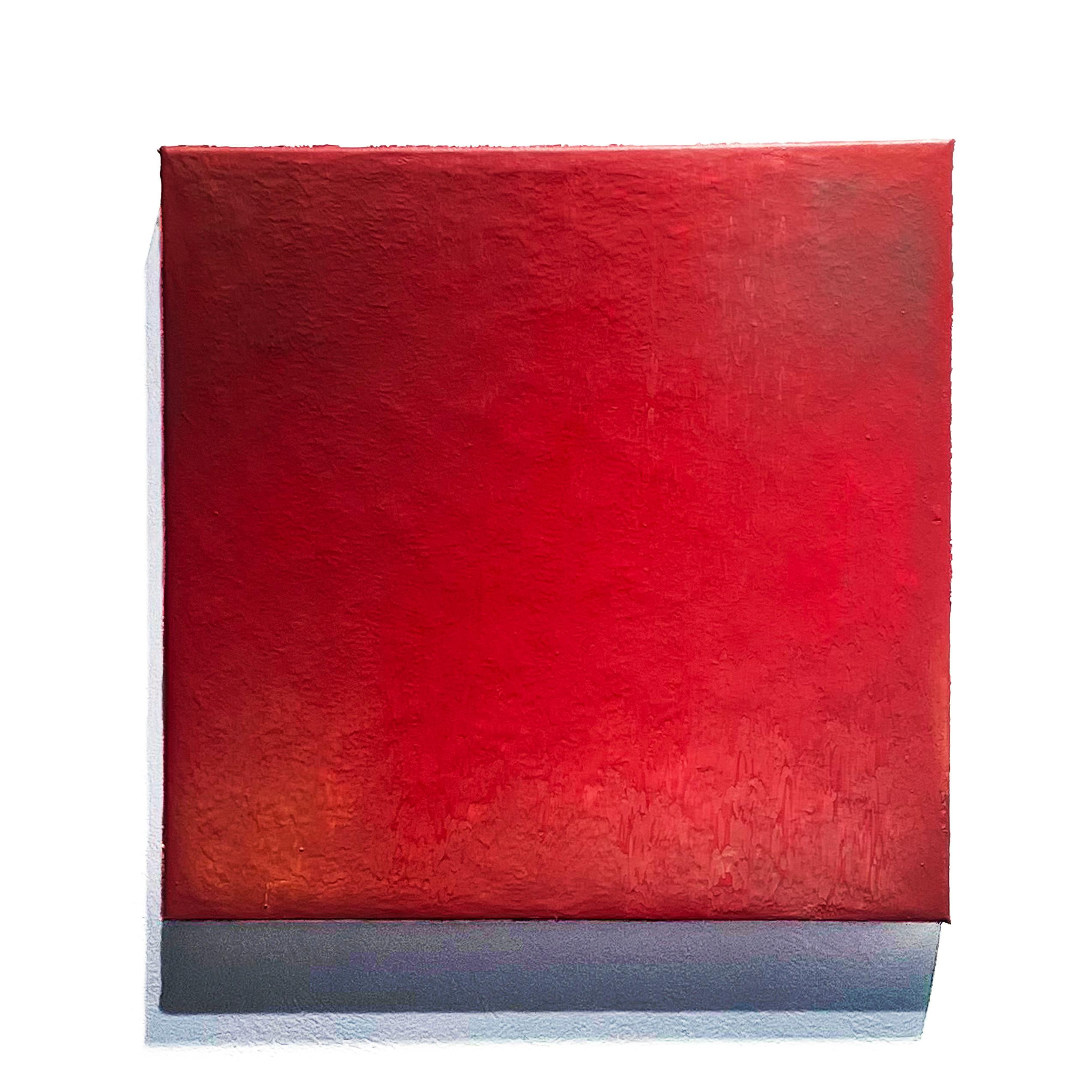 晃 | 超近景 －真珠の耳飾りの少女