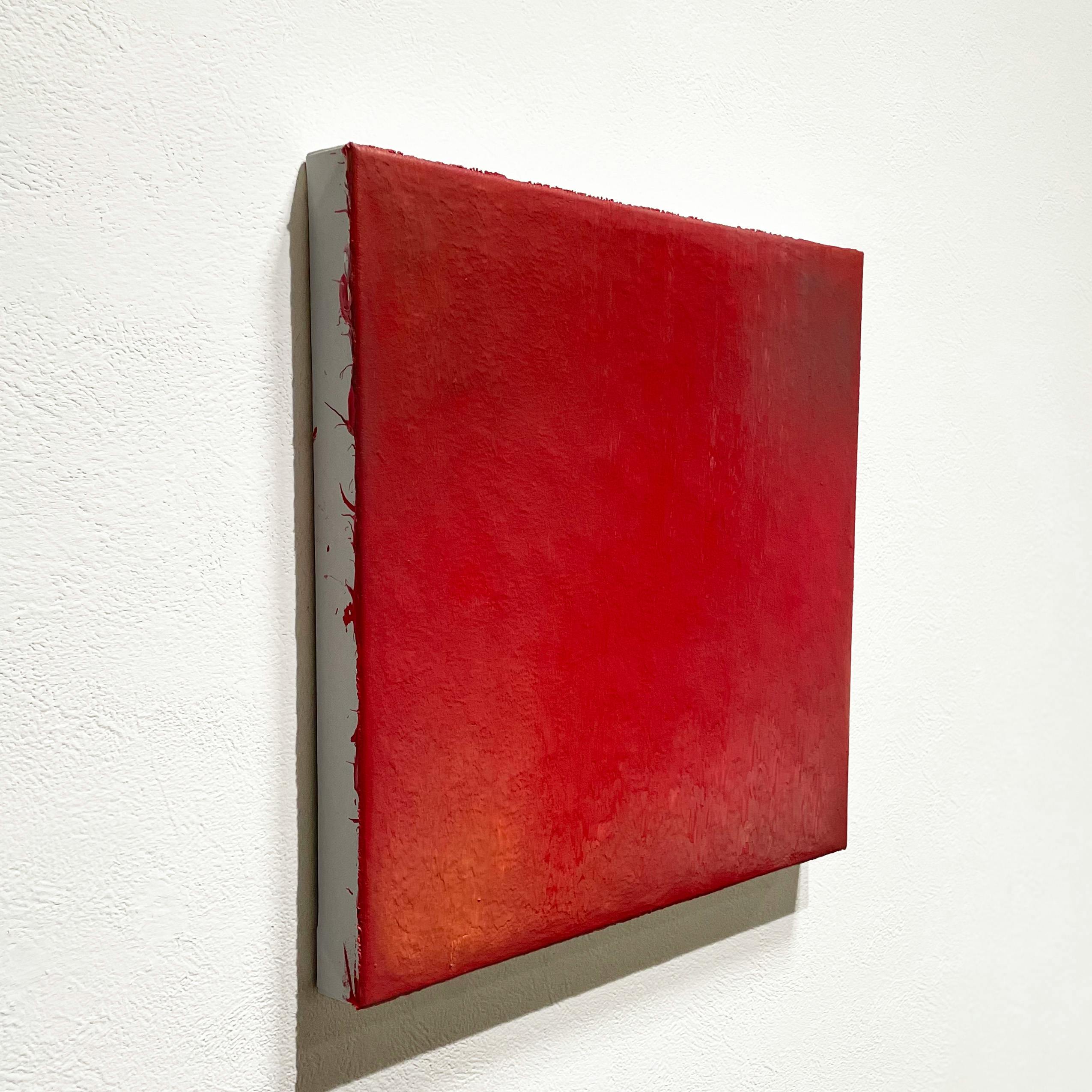 晃 | 超近景 －真珠の耳飾りの少女