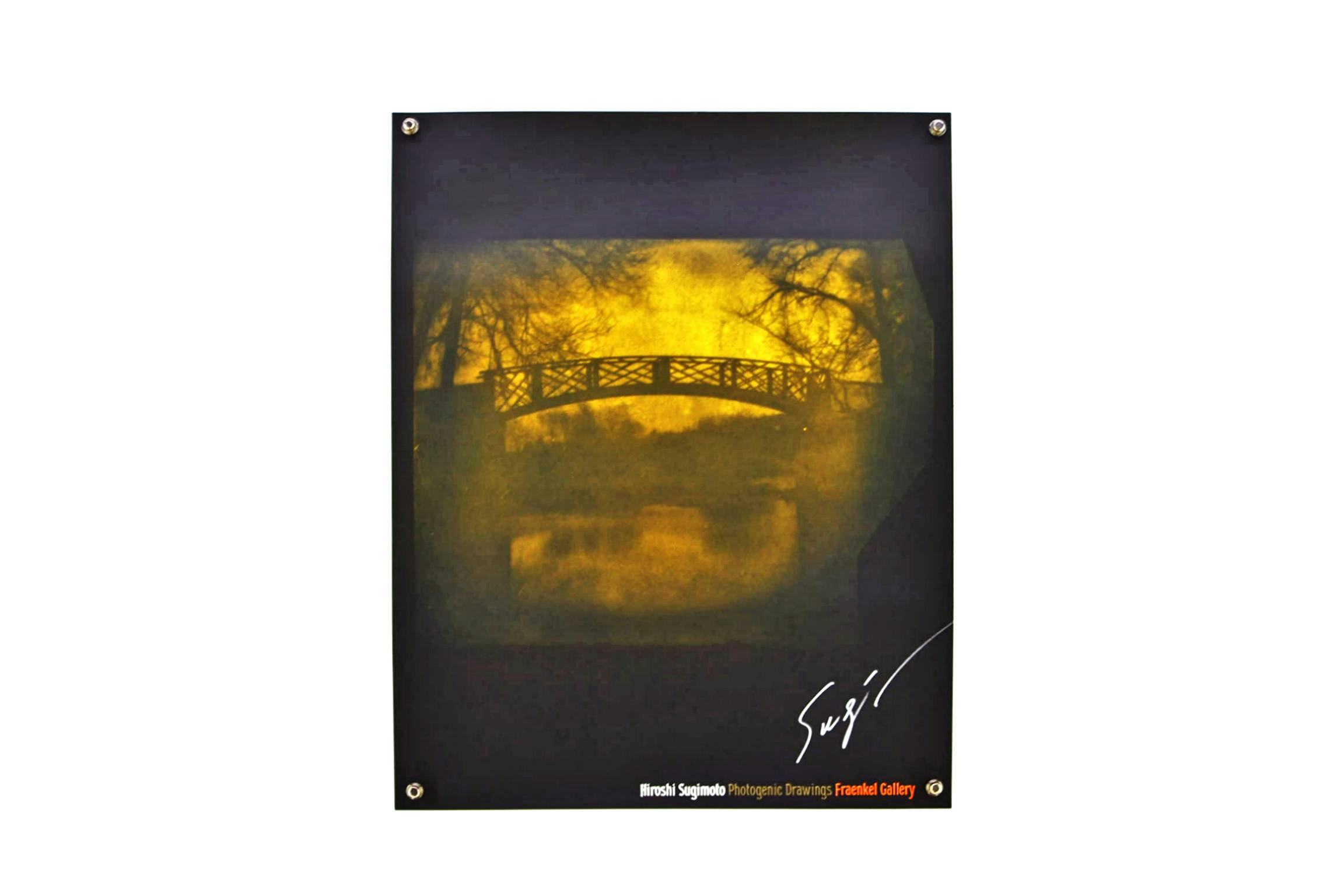 PHOTOGENIC DRAWINGS ポスター