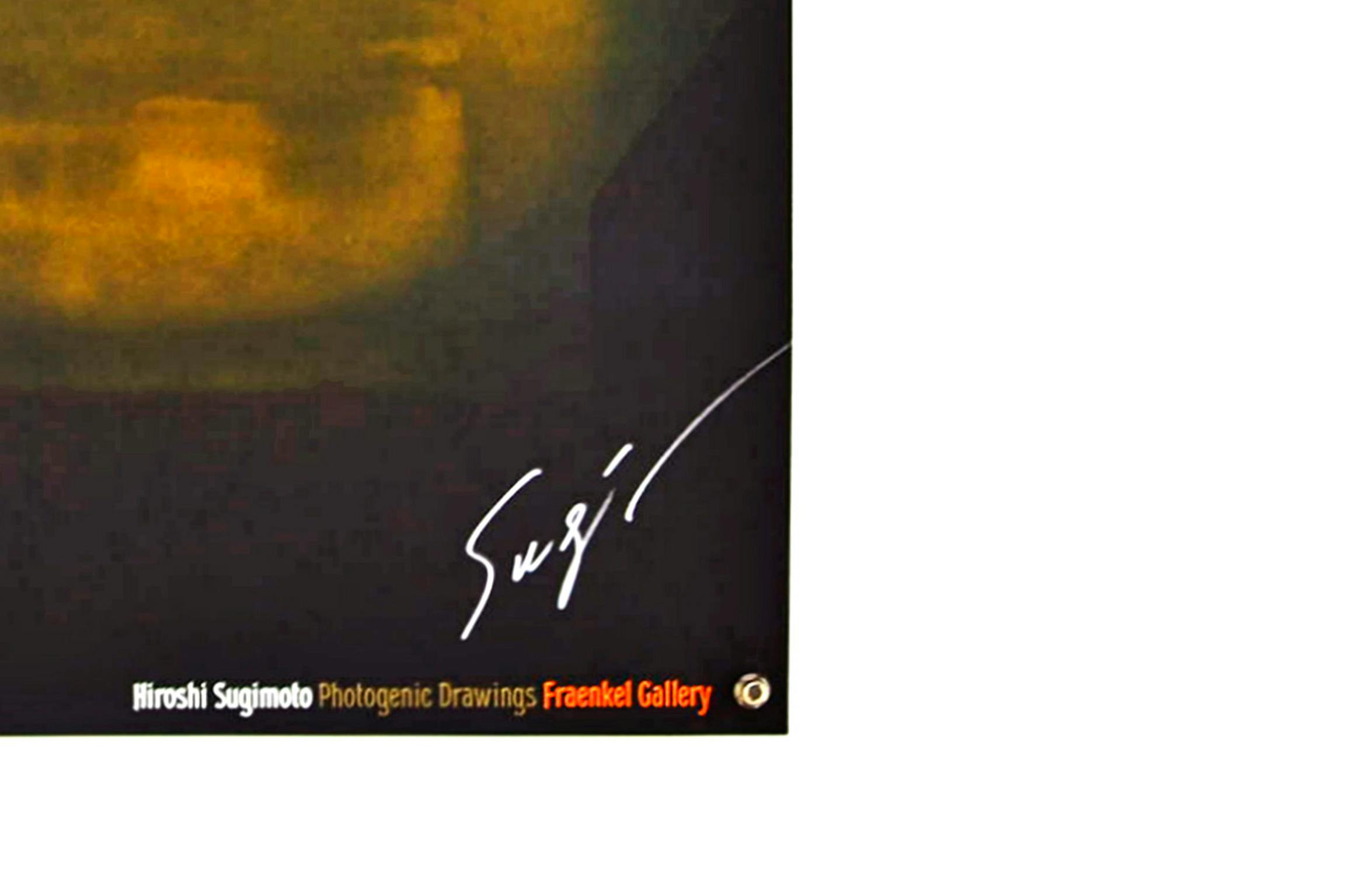 PHOTOGENIC DRAWINGS ポスター